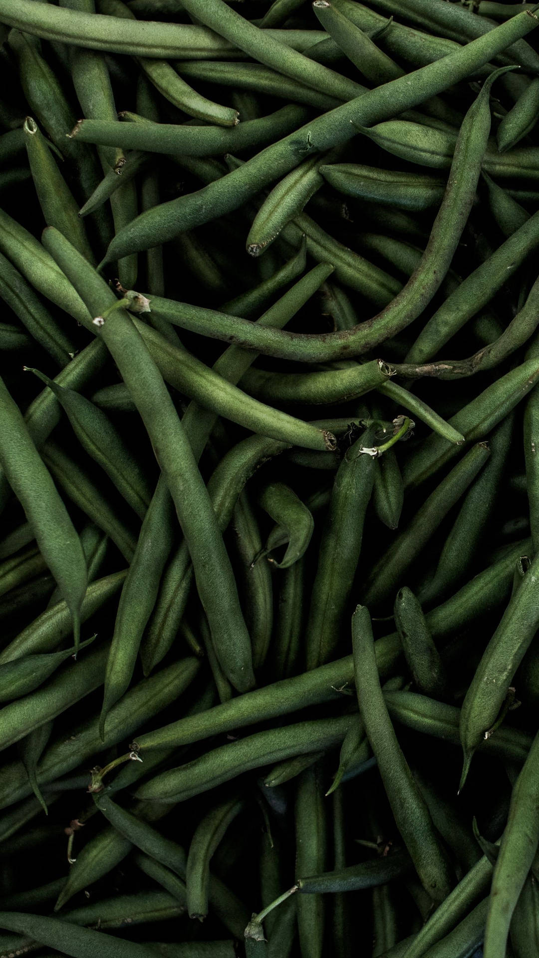Dim Portrait Green Beans Background