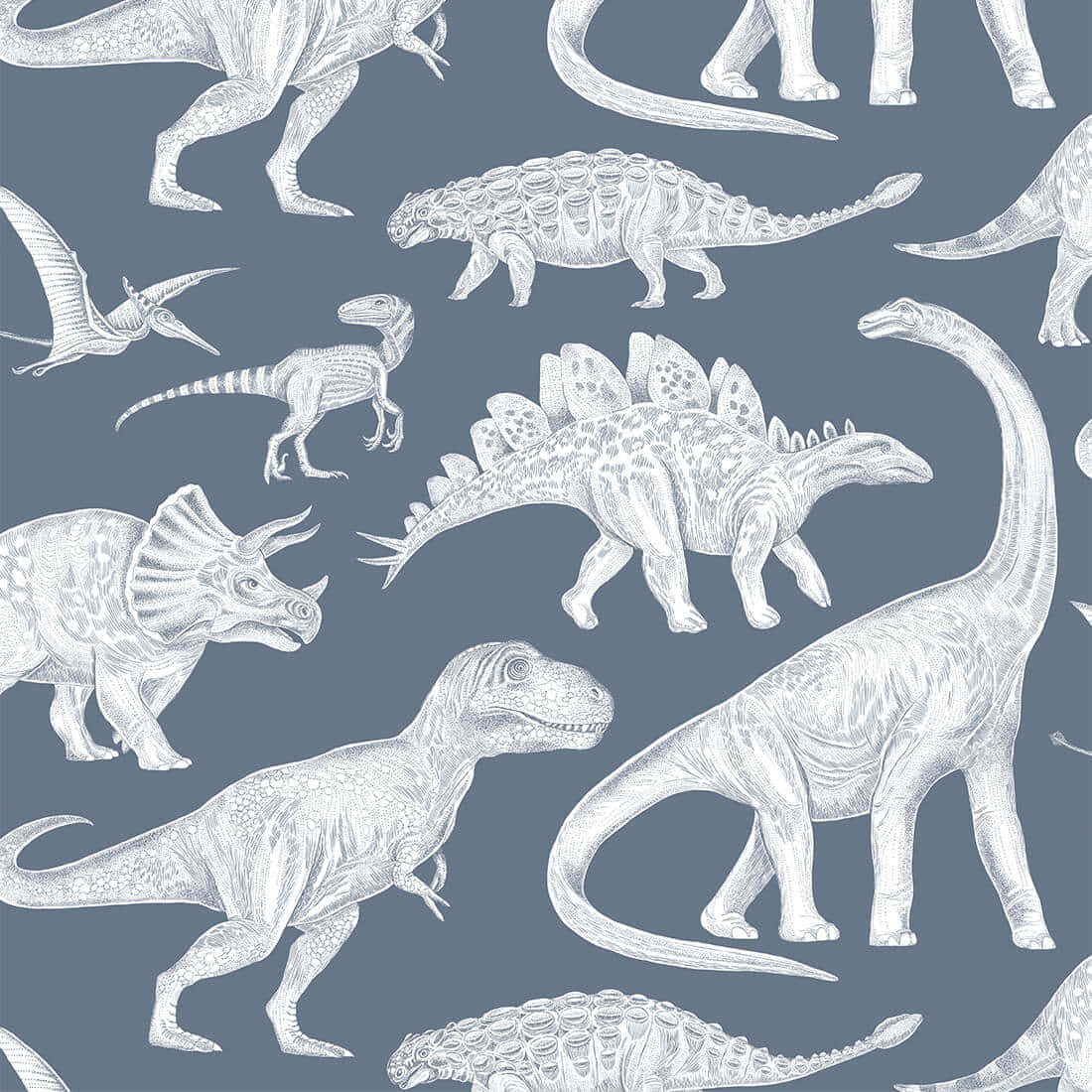 A White And Blue Dinosaur Pattern