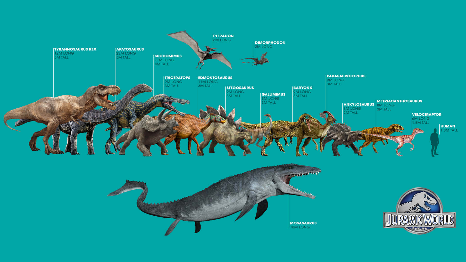 Jurassic World Dinosaurs - The Evolution Of Dinosaurs