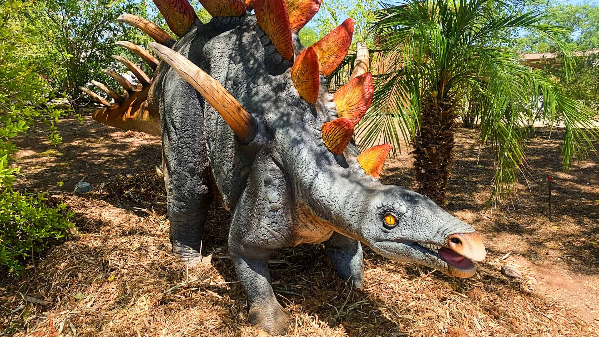 Descubrela Historia De Los Dinosaurios Extintos