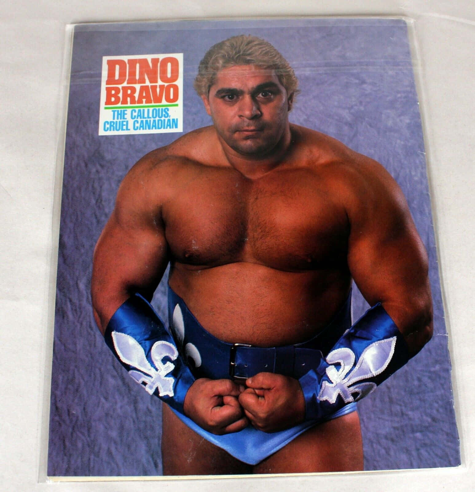 Dino Bravo 1990 Klassisk WWF Kort Scene Wallpaper