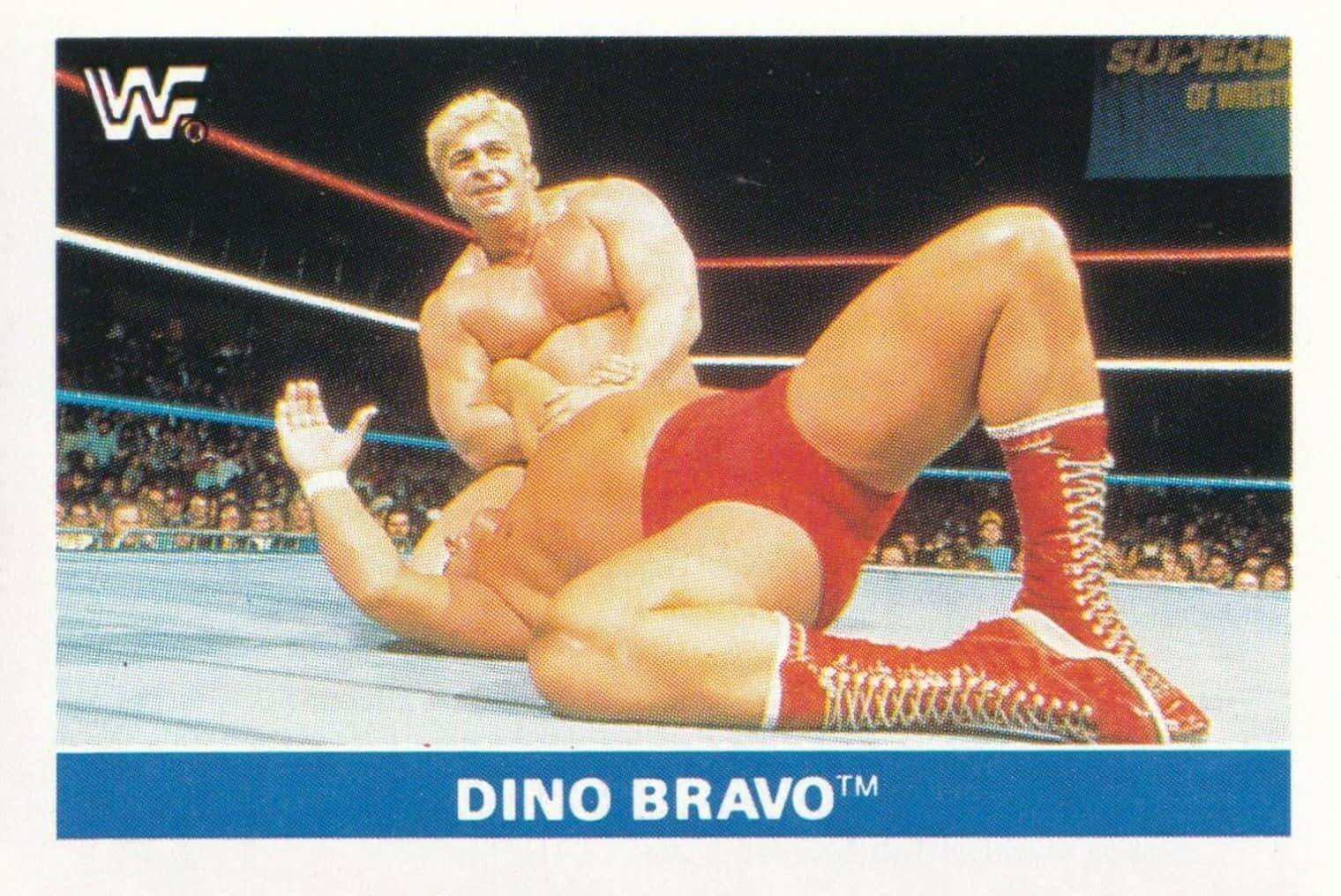 Tarjetade Lucha Libre De Dino Bravo De 1991 En La Wwf. Fondo de pantalla