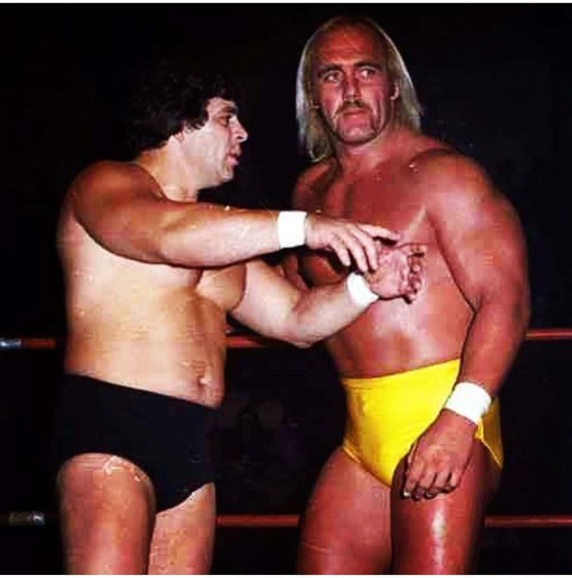 Dino Bravo and Hulk Hogan in a World Wrestling Entertainment Showdown Wallpaper