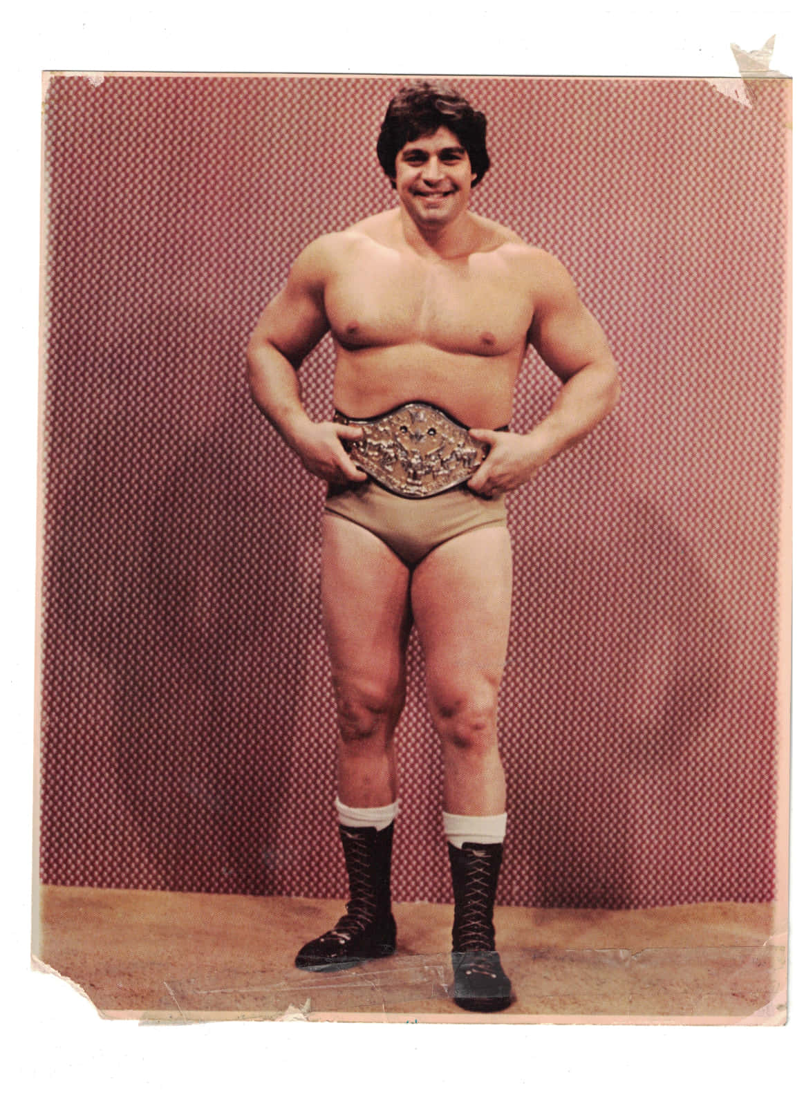 Dino Bravo Canadian Wrestling Champion Wallpaper