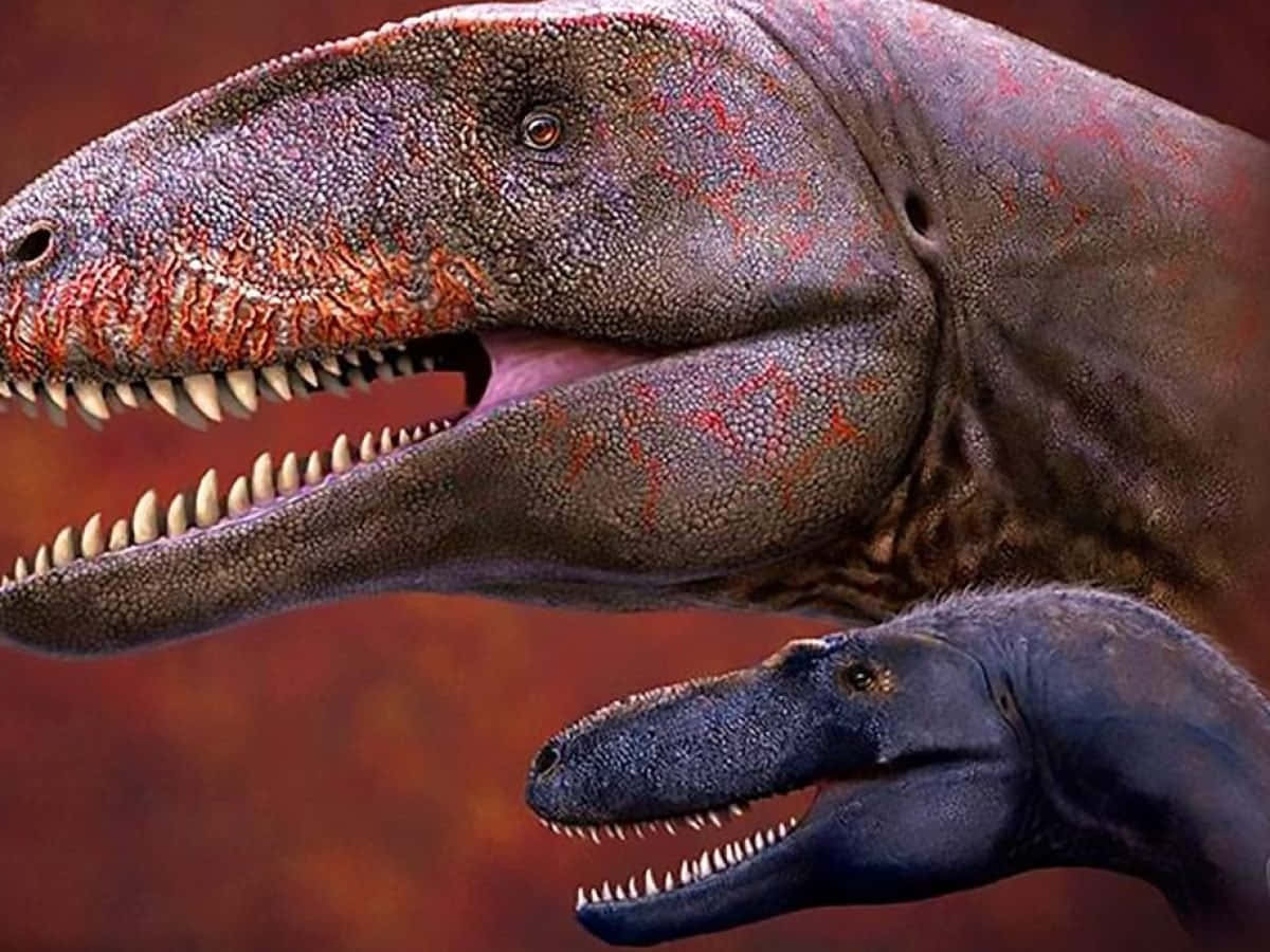 Ent-rex Och En Tyrannosaurus Visas I Den Här Bilden.