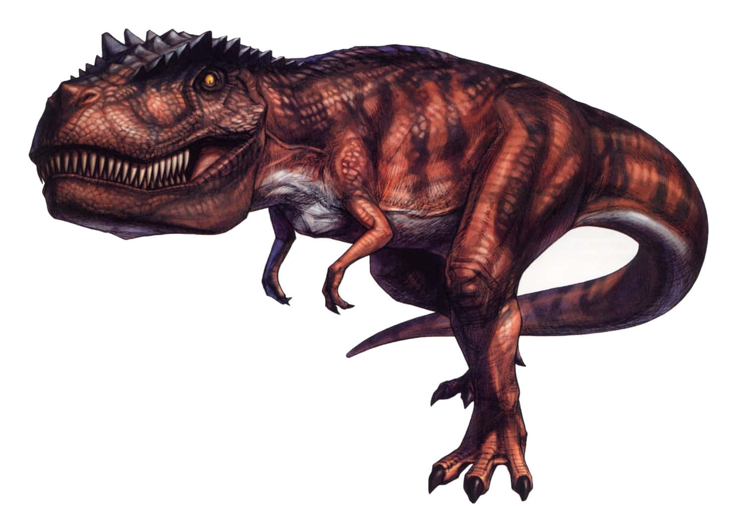 ¡notodos Los Dinosaurios Son Grandes E Intimidantes!