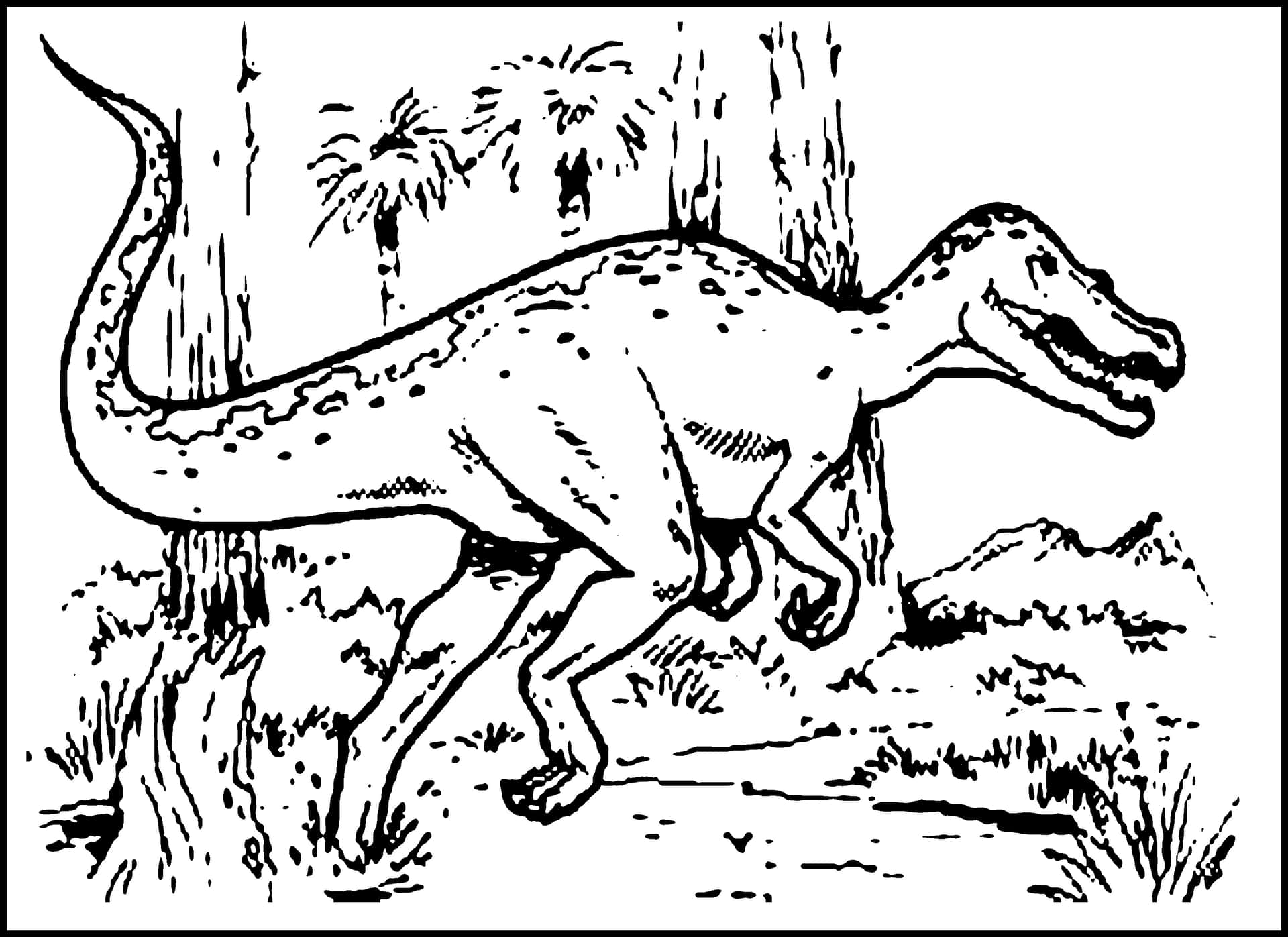 Color an exciting dinosaur adventure