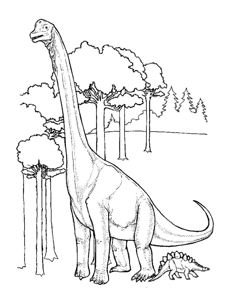 This cute dinosaur coloring picture is sure to please your child