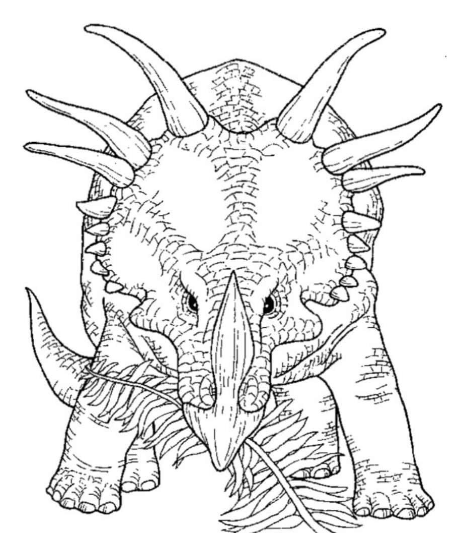 Triceratops Coloring Pages - Photo 20