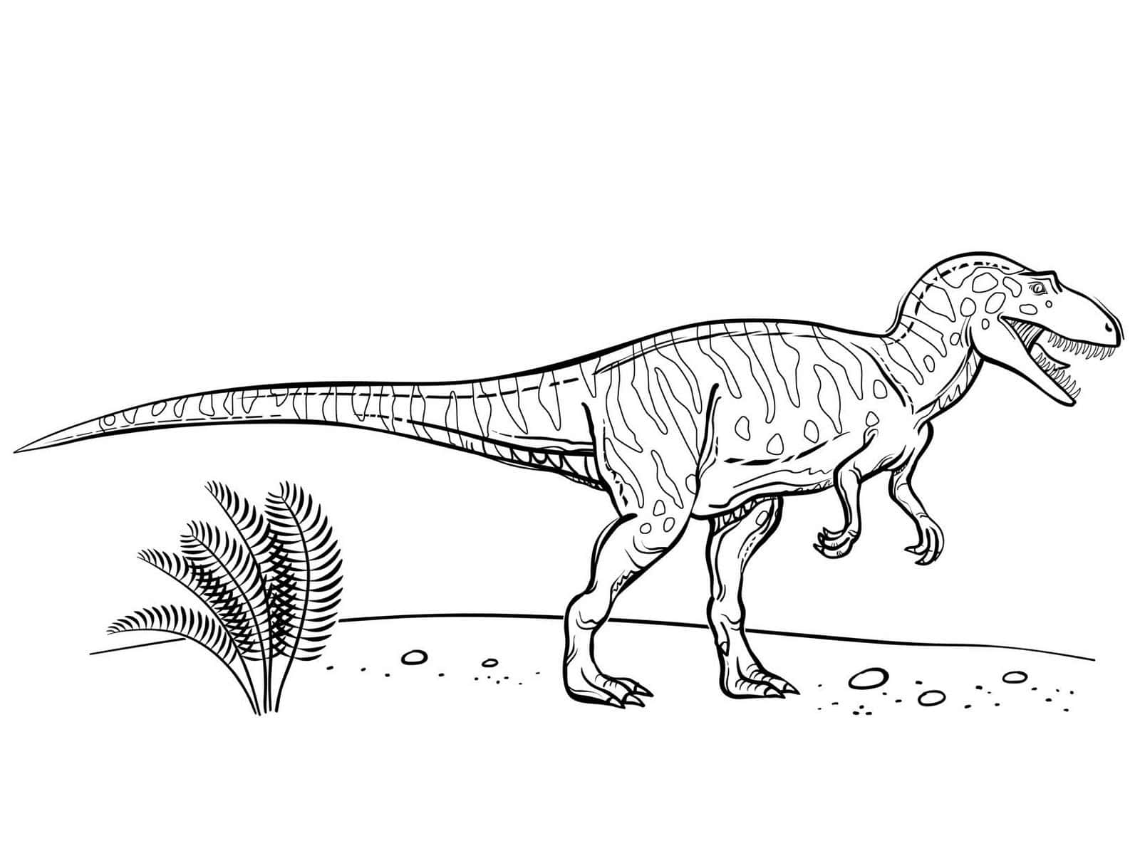 Unapagina Da Colorare Di Un Dinosauro T-rex