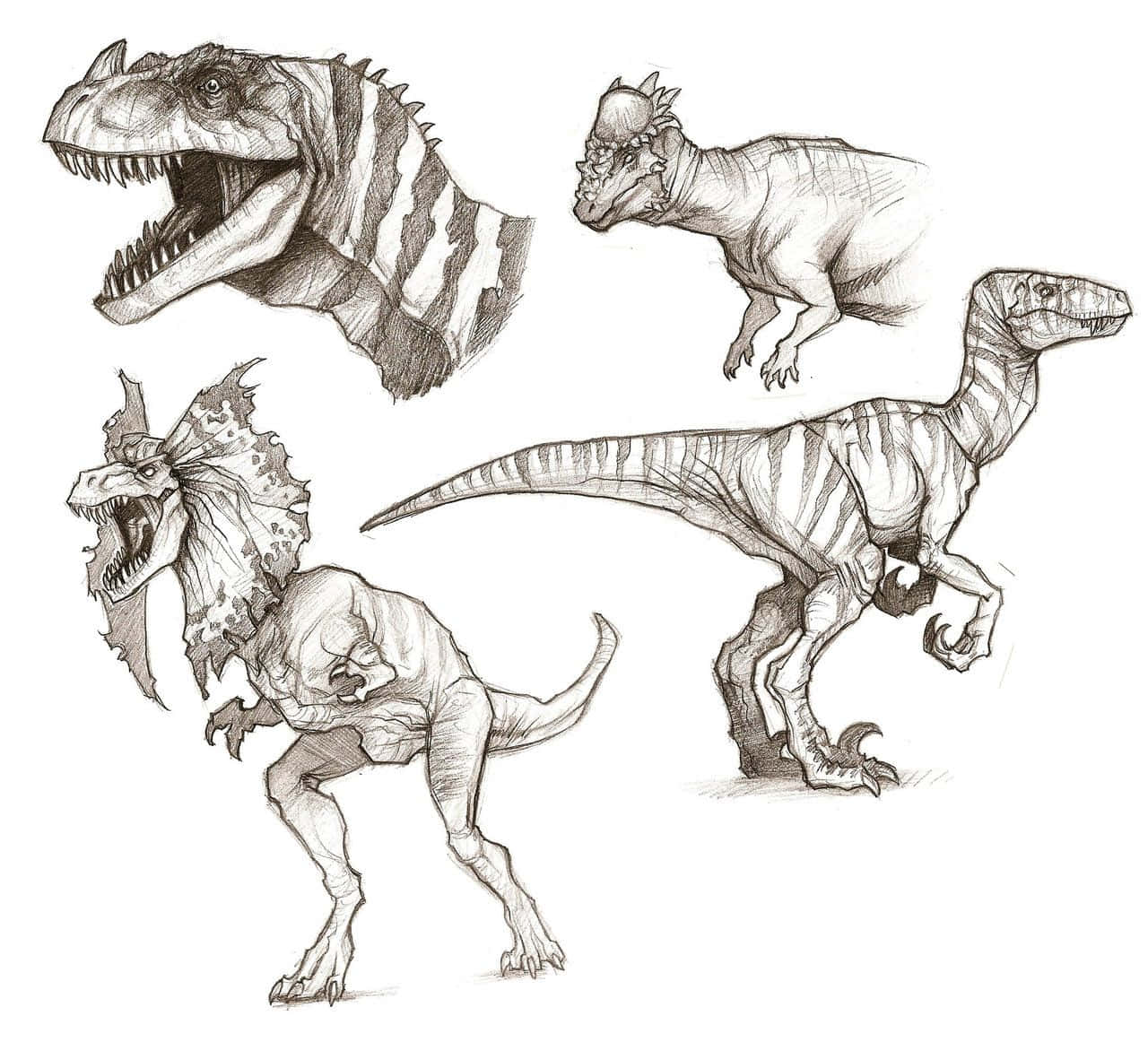 Dinosaurocolorato Disegnato