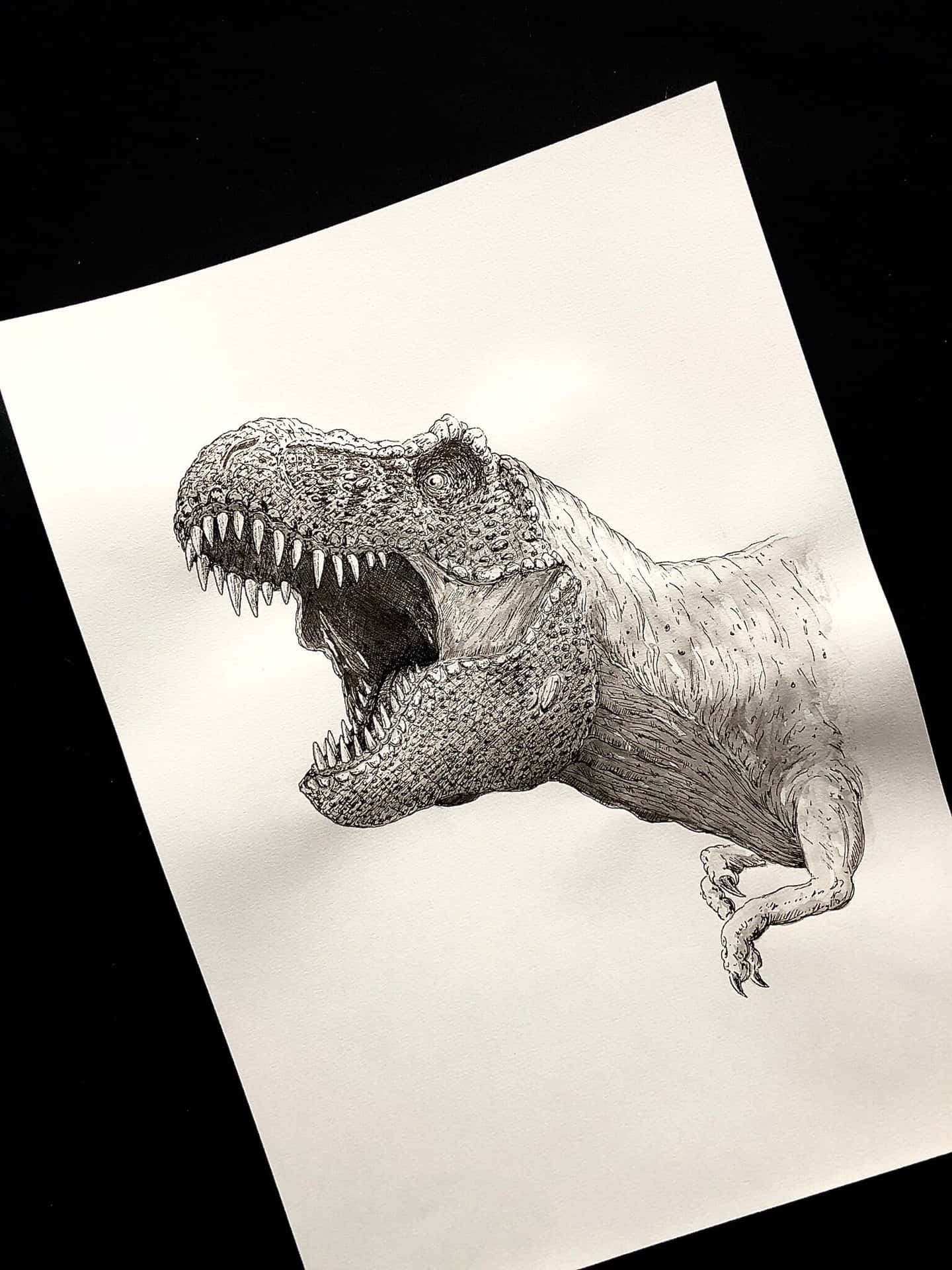 A Drawing Of A T - Rex On Paper