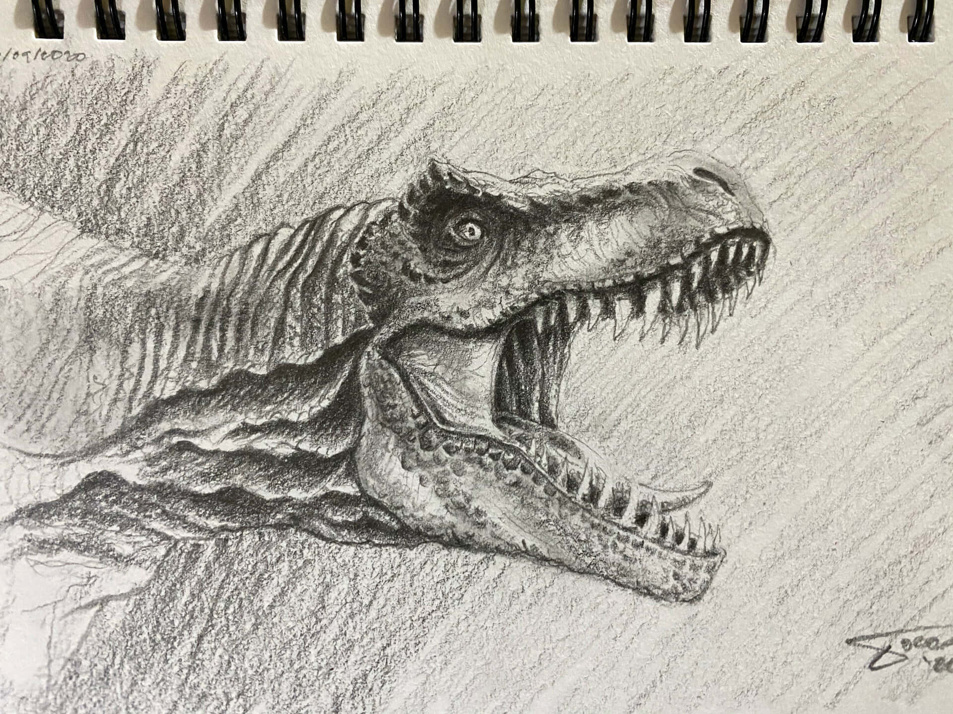 A cartoon drawing of a dinosaur