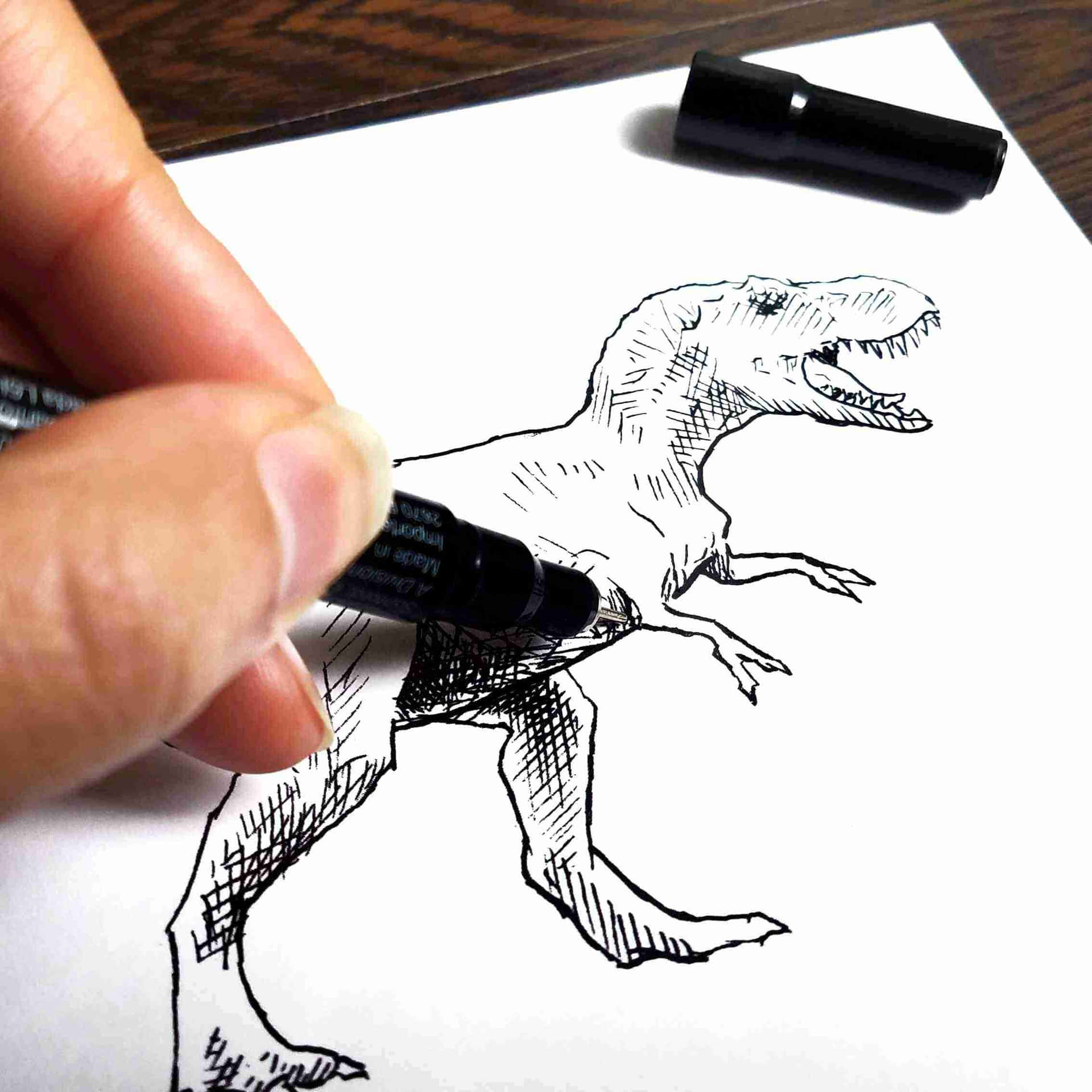 Intricate Dinosaur Drawing