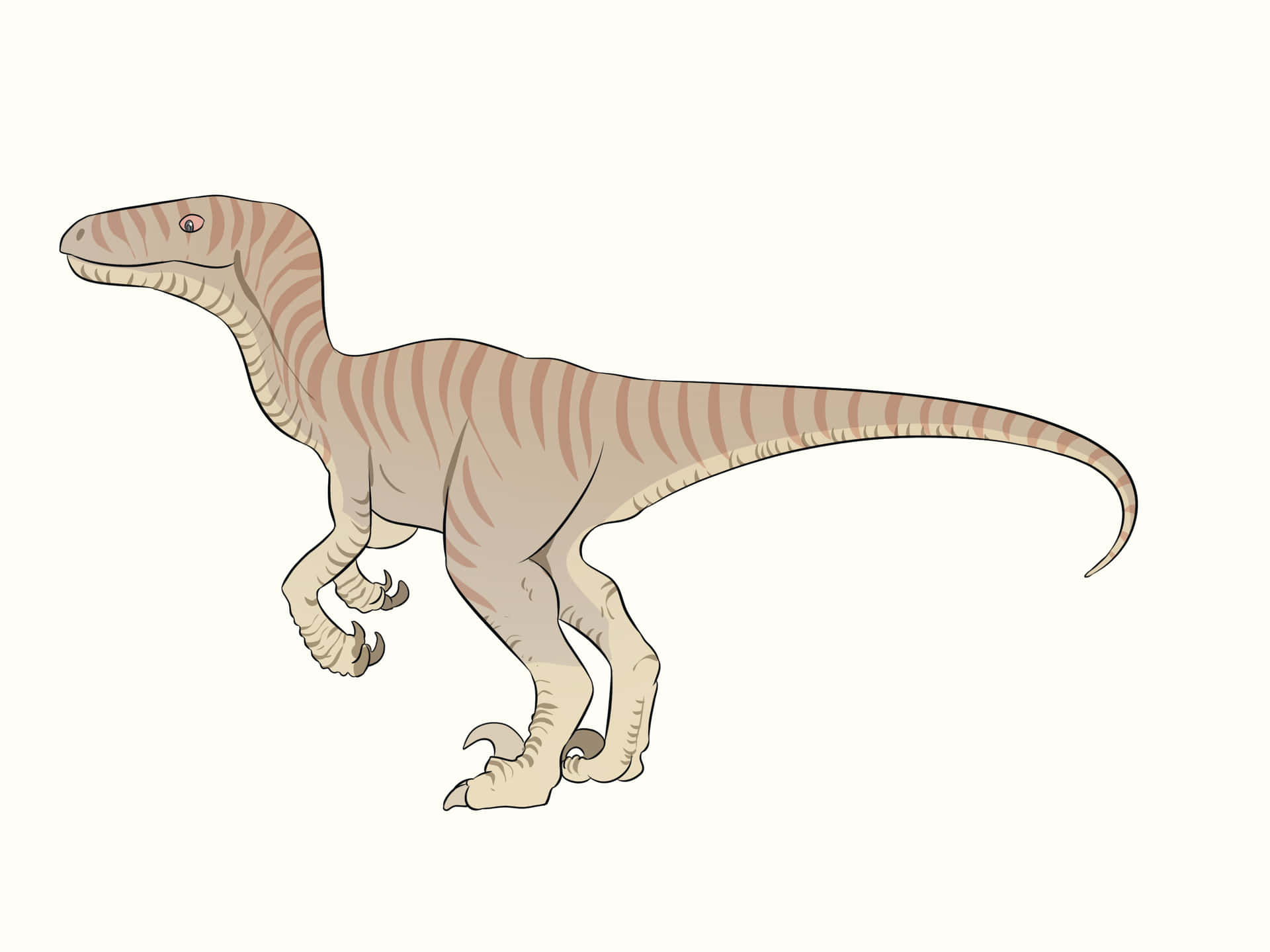 A detailed drawing of a dinosaur