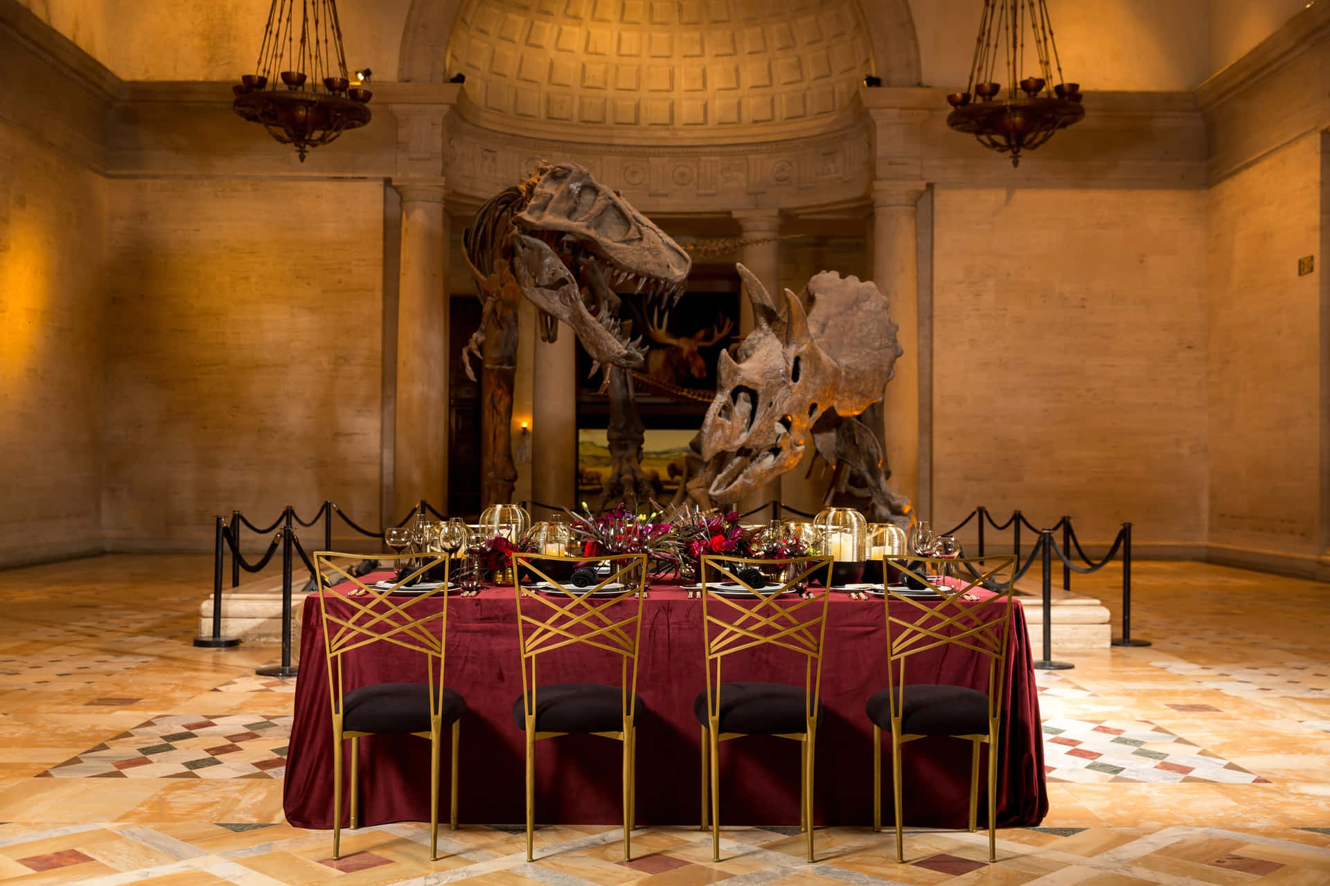 Dinosaur Exhibit Dinner Setup Wallpaper
