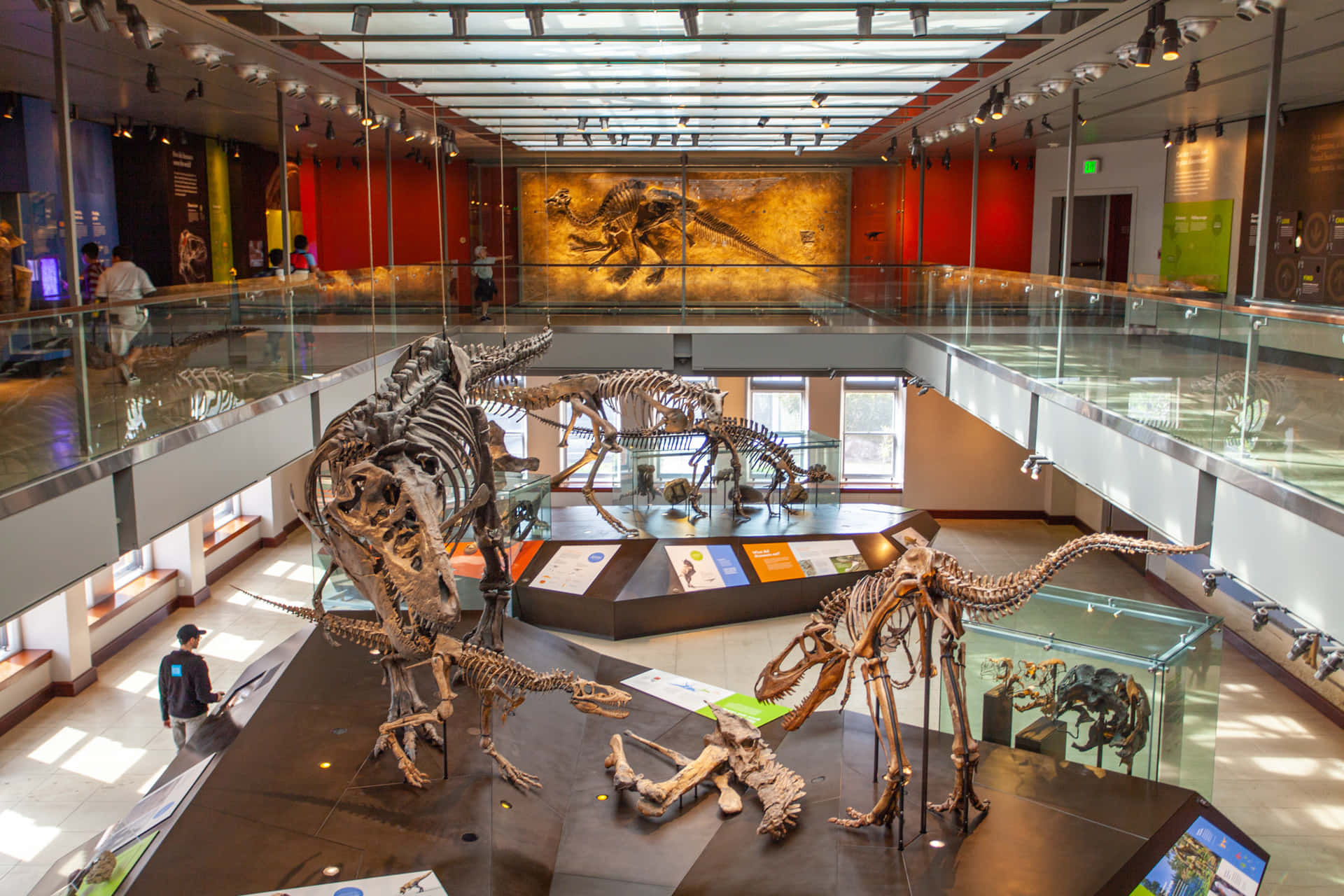 Dinosaur Exhibit Natural History Museum L A Wallpaper