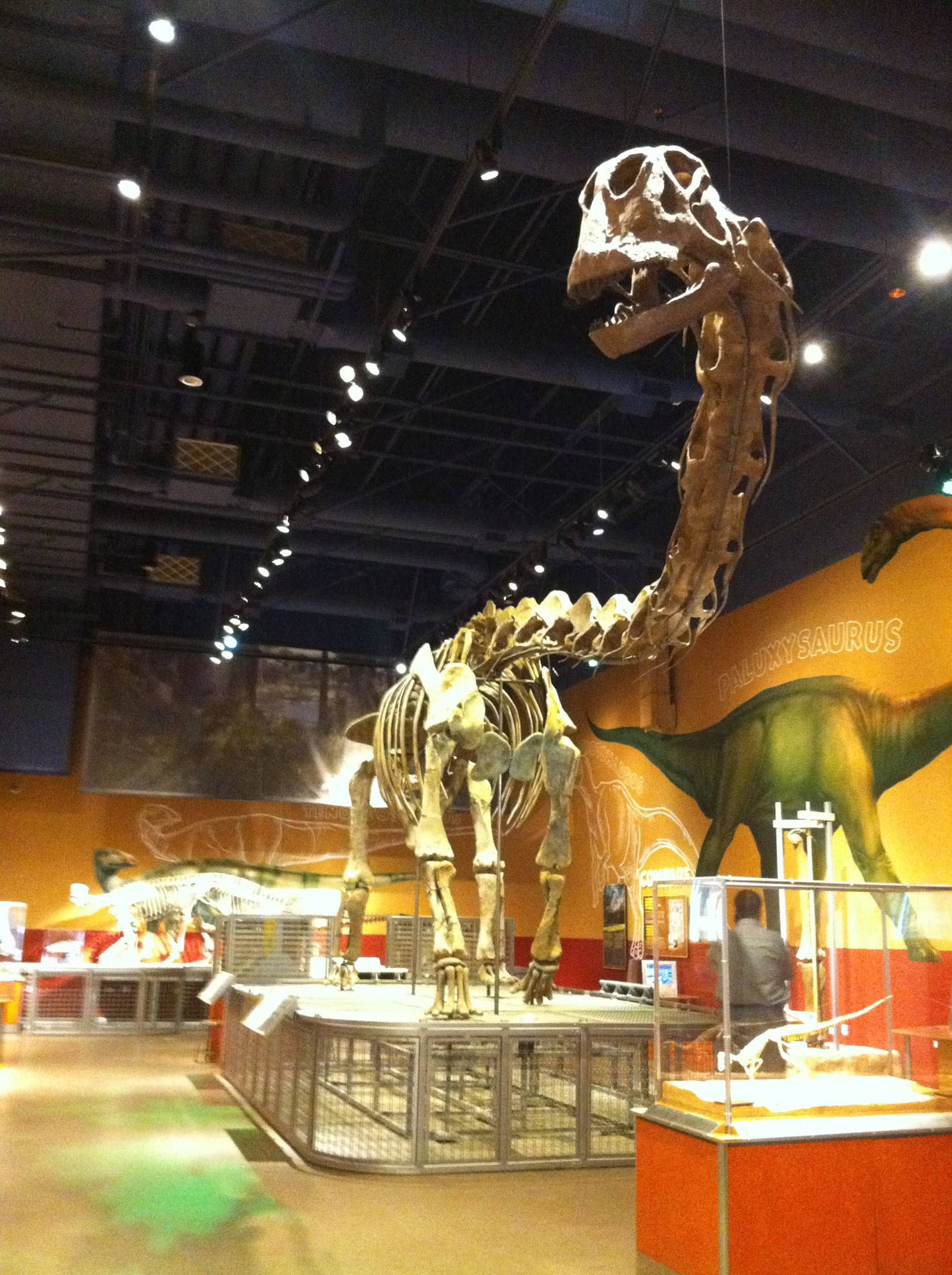 Figura Di Dinosauro All'interno Del Museo Di Fort Worth Sfondo