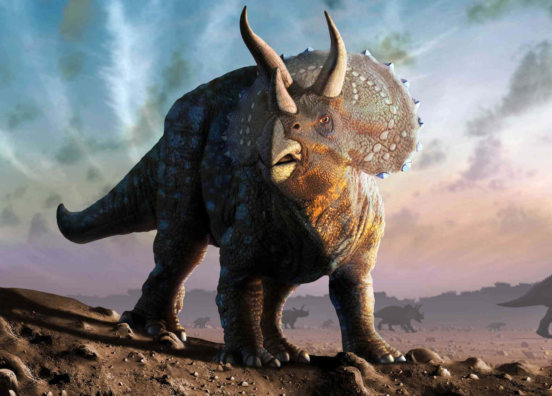A Triceratops Stands Proud