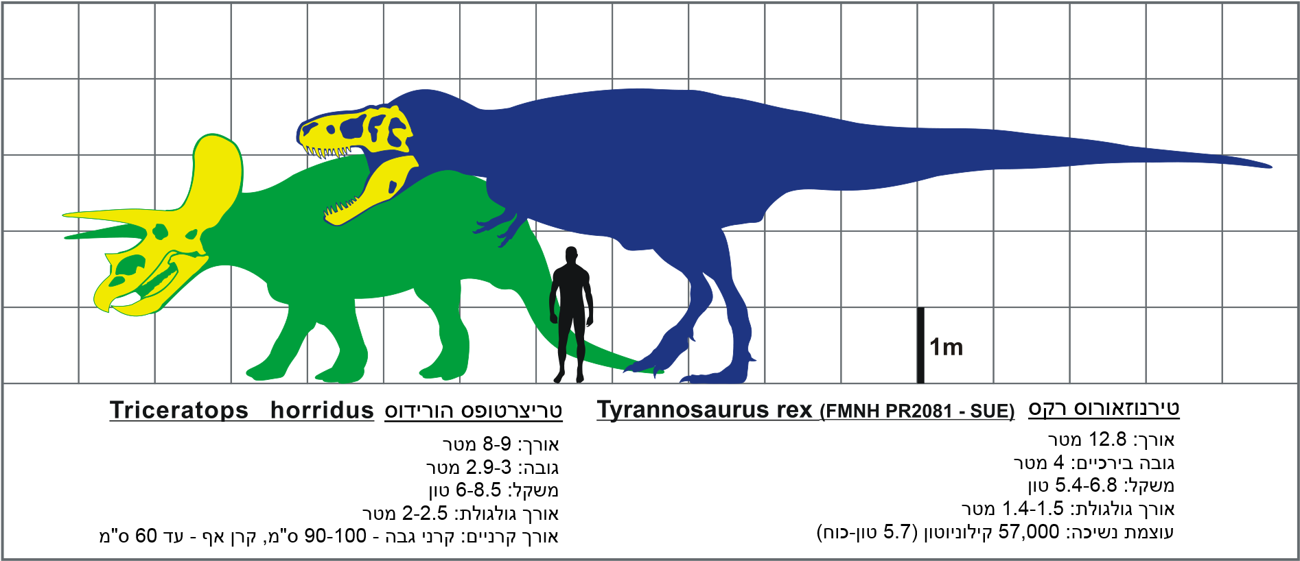 Dinosaur Size Comparison Chart PNG