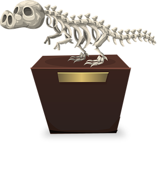 Dinosaur Skeleton Exhibit PNG