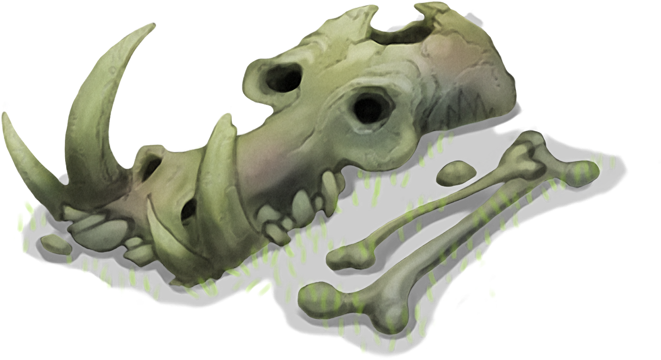 Dinosaur Skull Fossil Illustration PNG