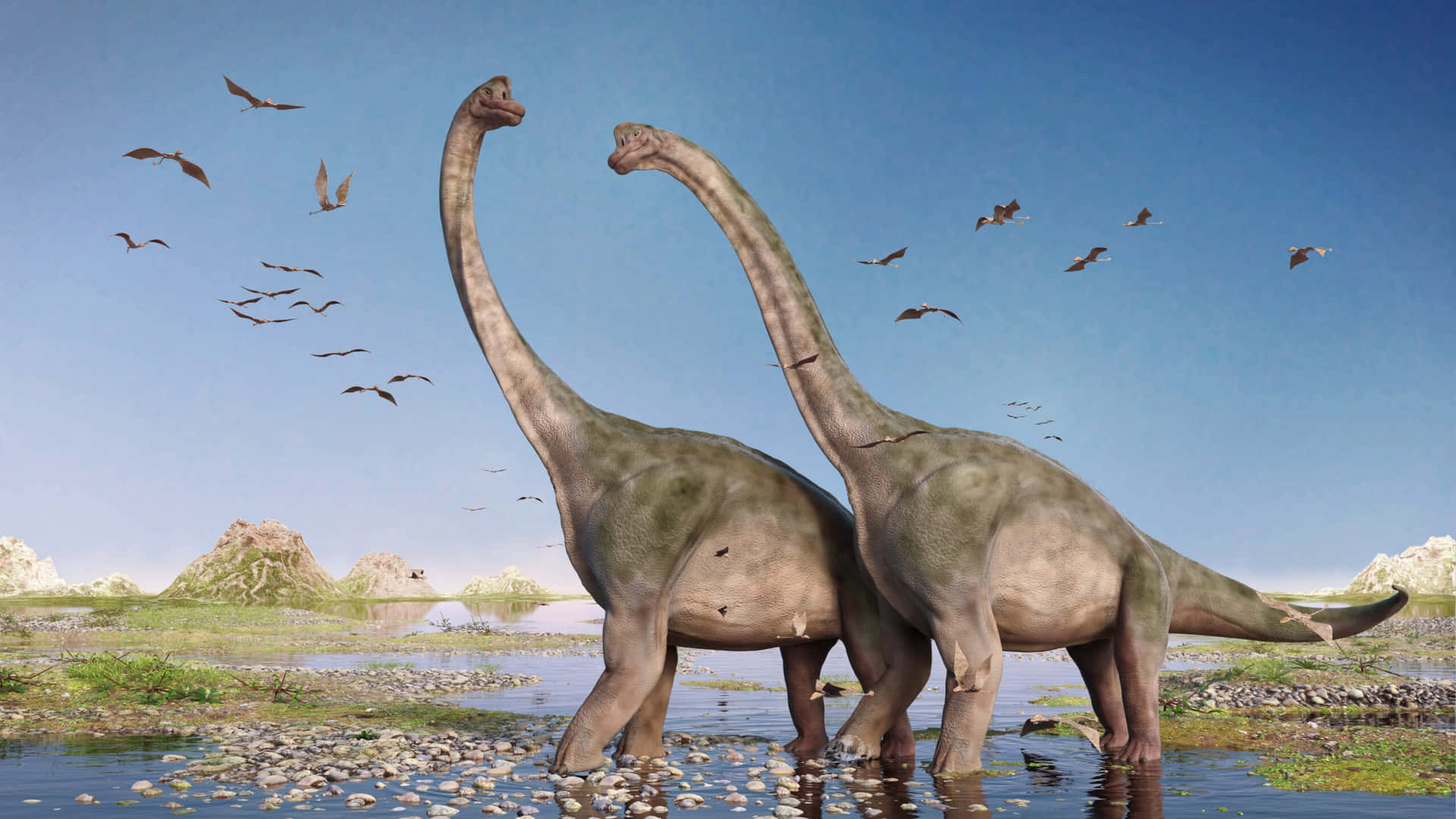 Brontosaurusdinosaurer Bild På En Ö