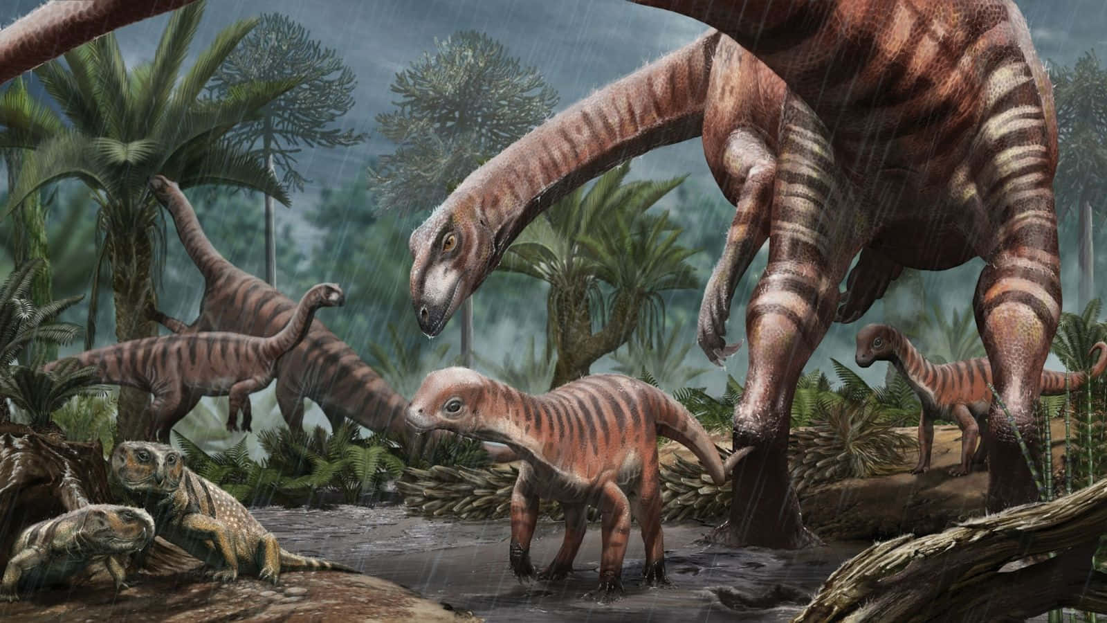 Imagende Dinosaurios Timimus En Australia