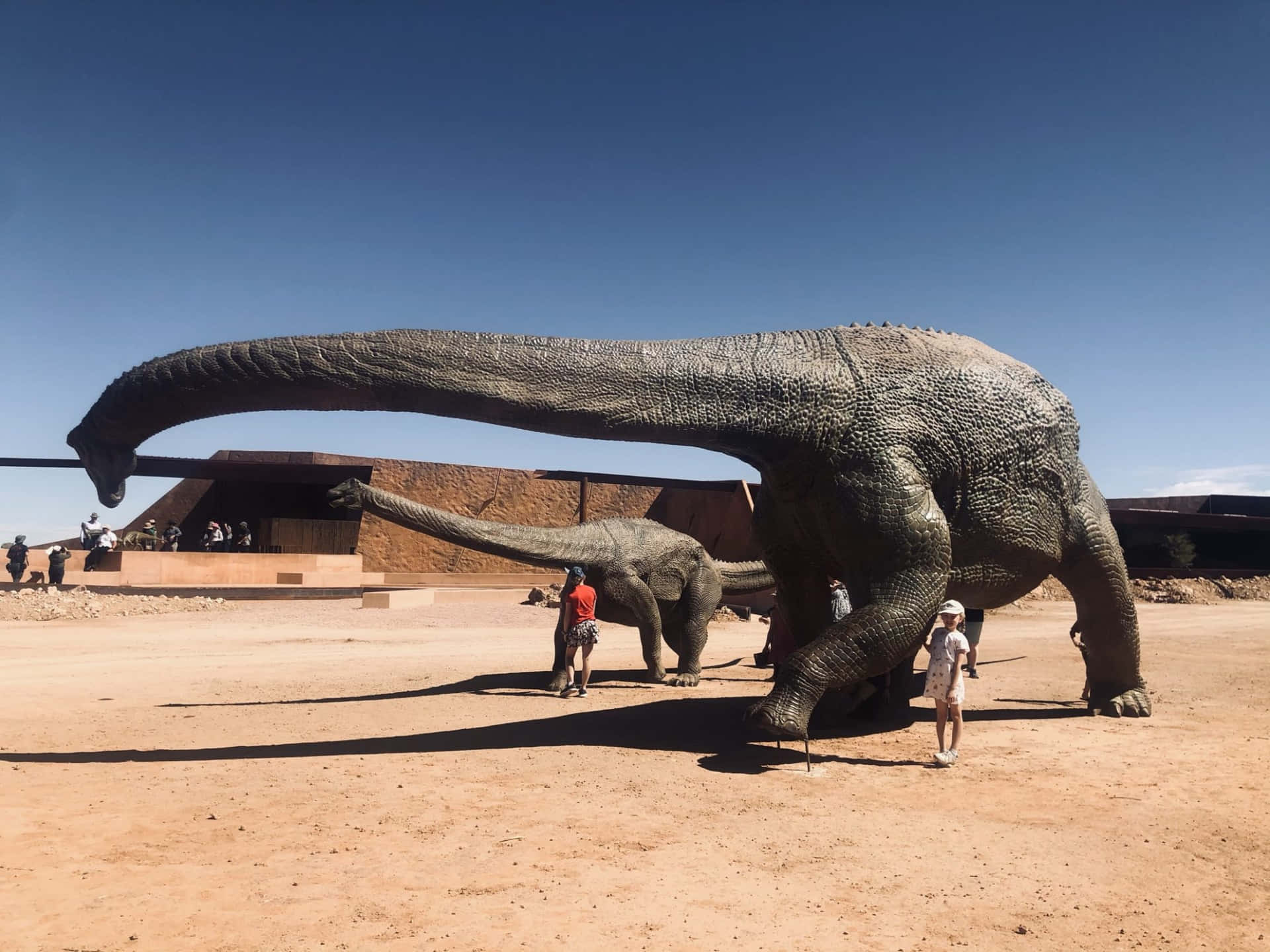 Dinosauriehistorisktaustraliens Museumbild.