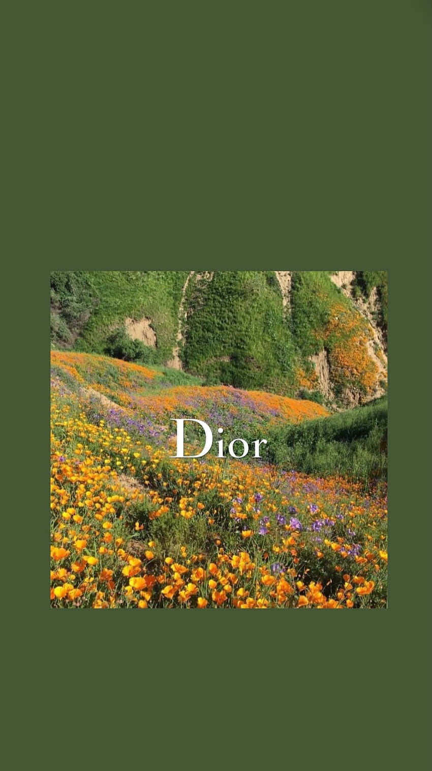 Dior Floral Hills Aesthetic Wallpaper