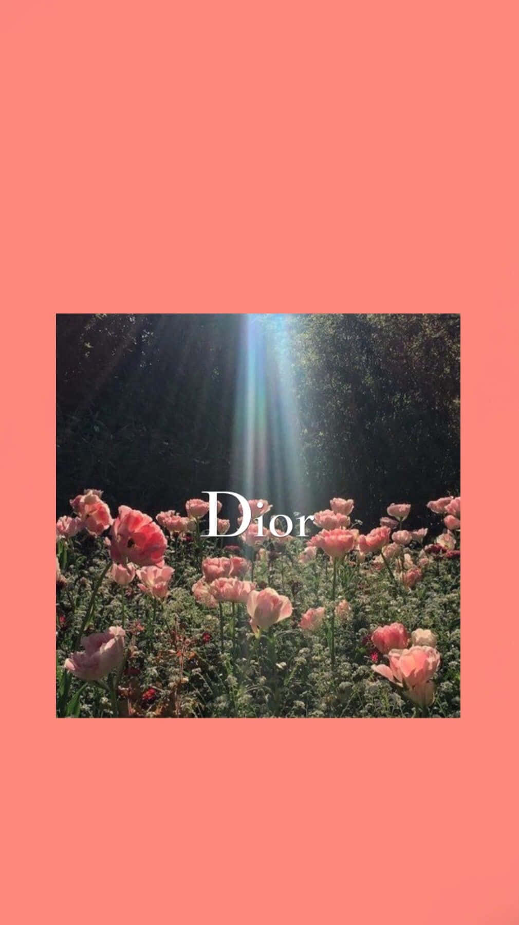Dior Floral Sunbeam Aesthetic Wallpaper