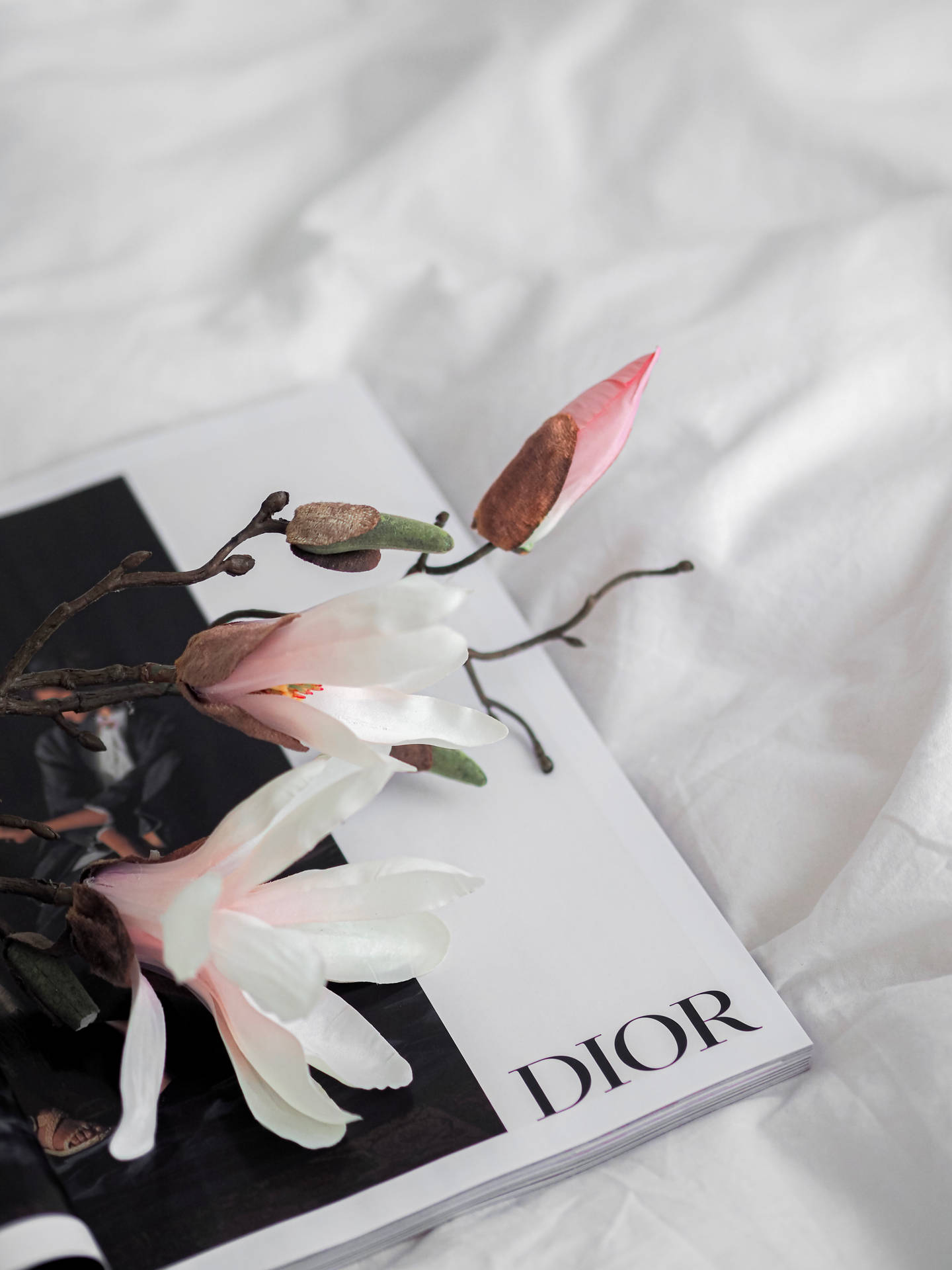 Dior Magnolia Flower Wallpaper
