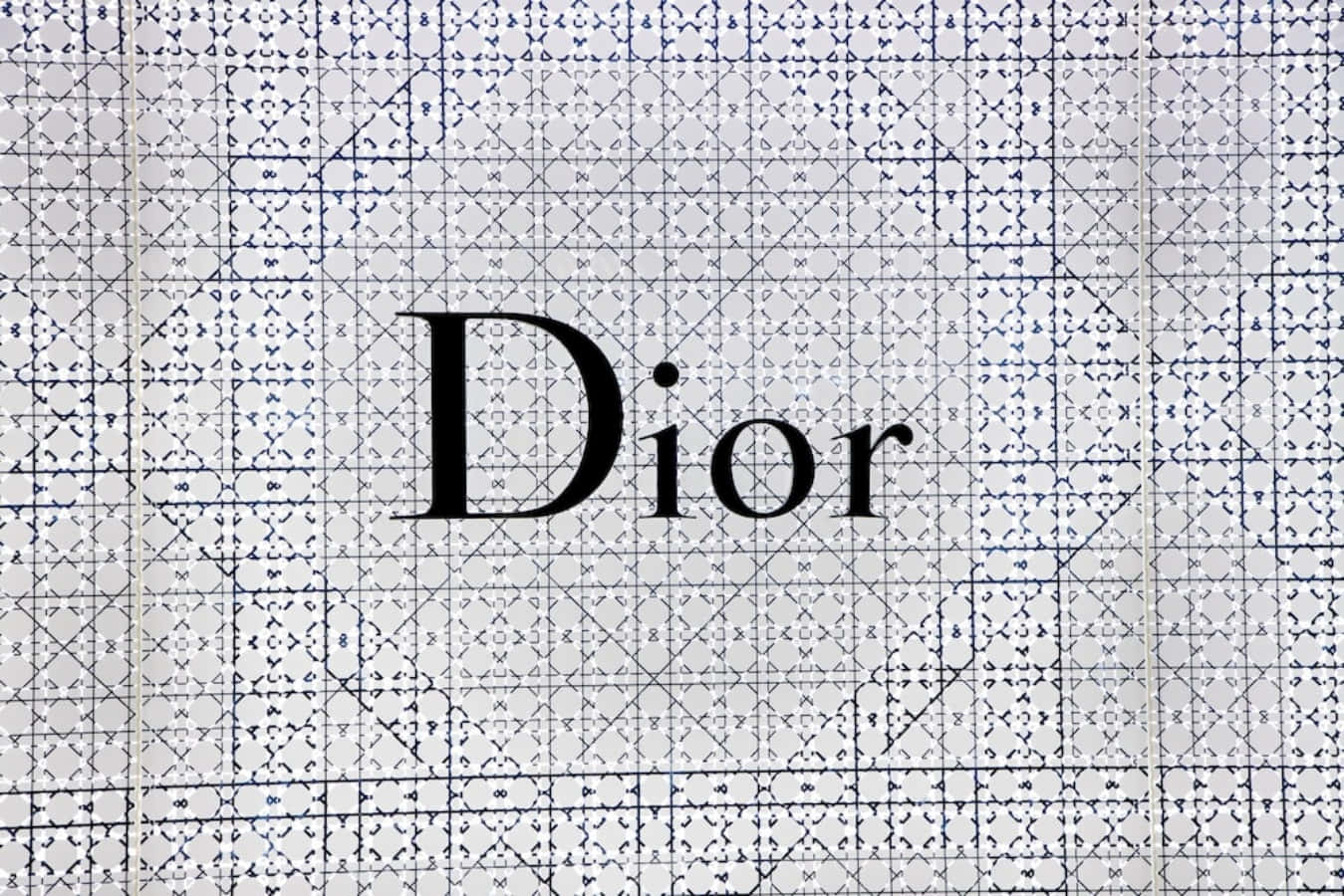Be Radiantly Chic in Dior