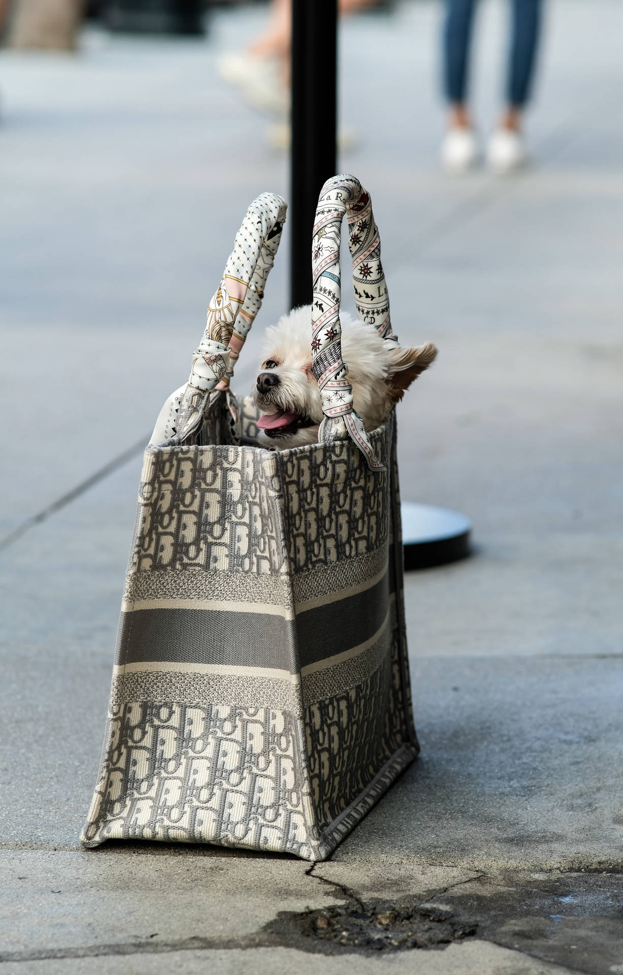 Dior Tote Bag With Puppy Wallpaper