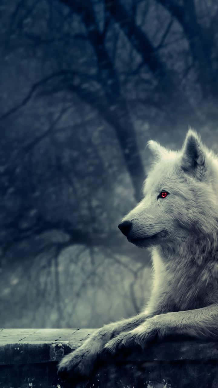 Majestic Dire Wolf Howling under the Moonlight Wallpaper