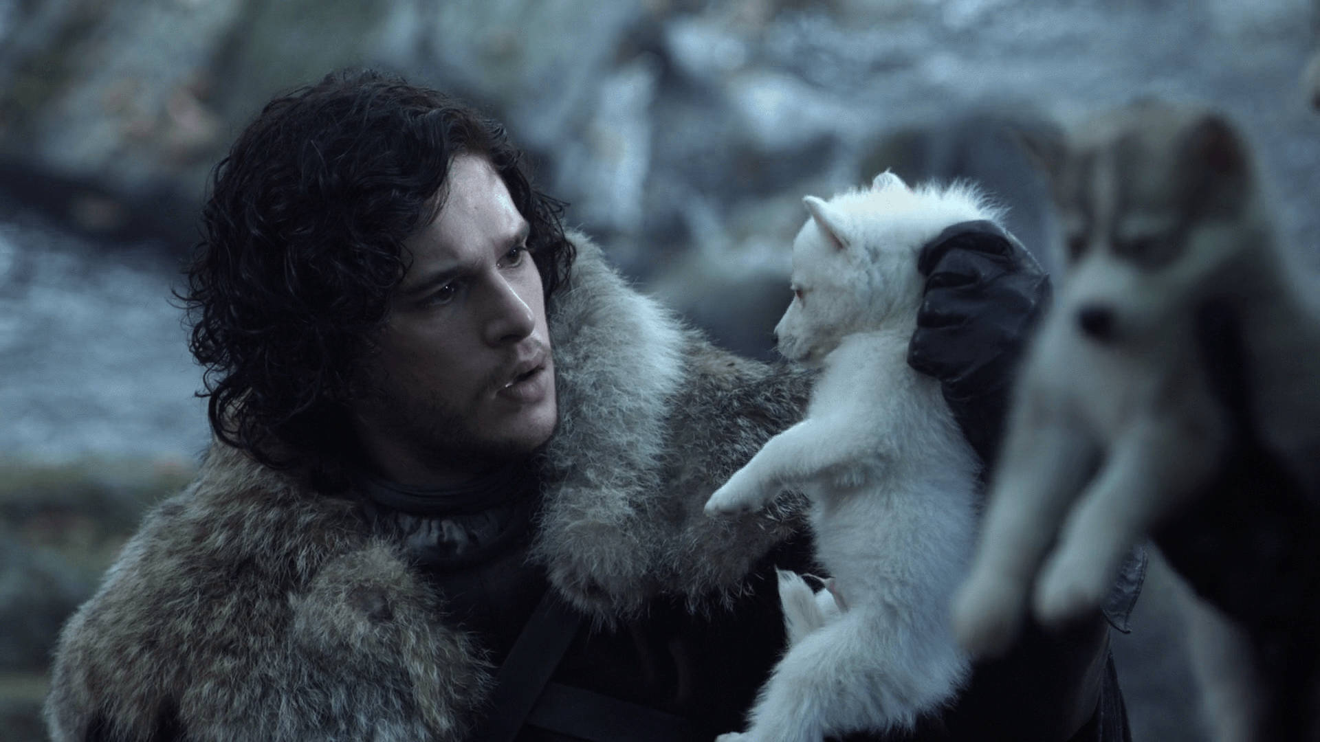 Direwolves Jon Snow Game Of Thrones: Dire Vargar Jon Snow Game Of Thrones Wallpaper