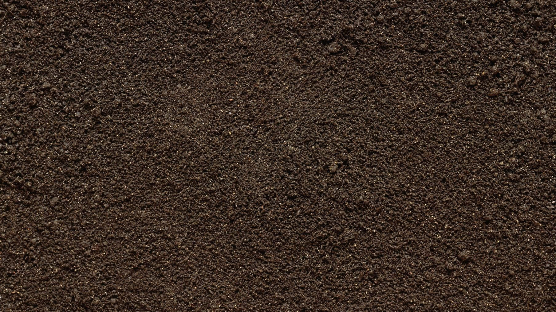 The Perfect Background for All Your Dirt-Related Projects