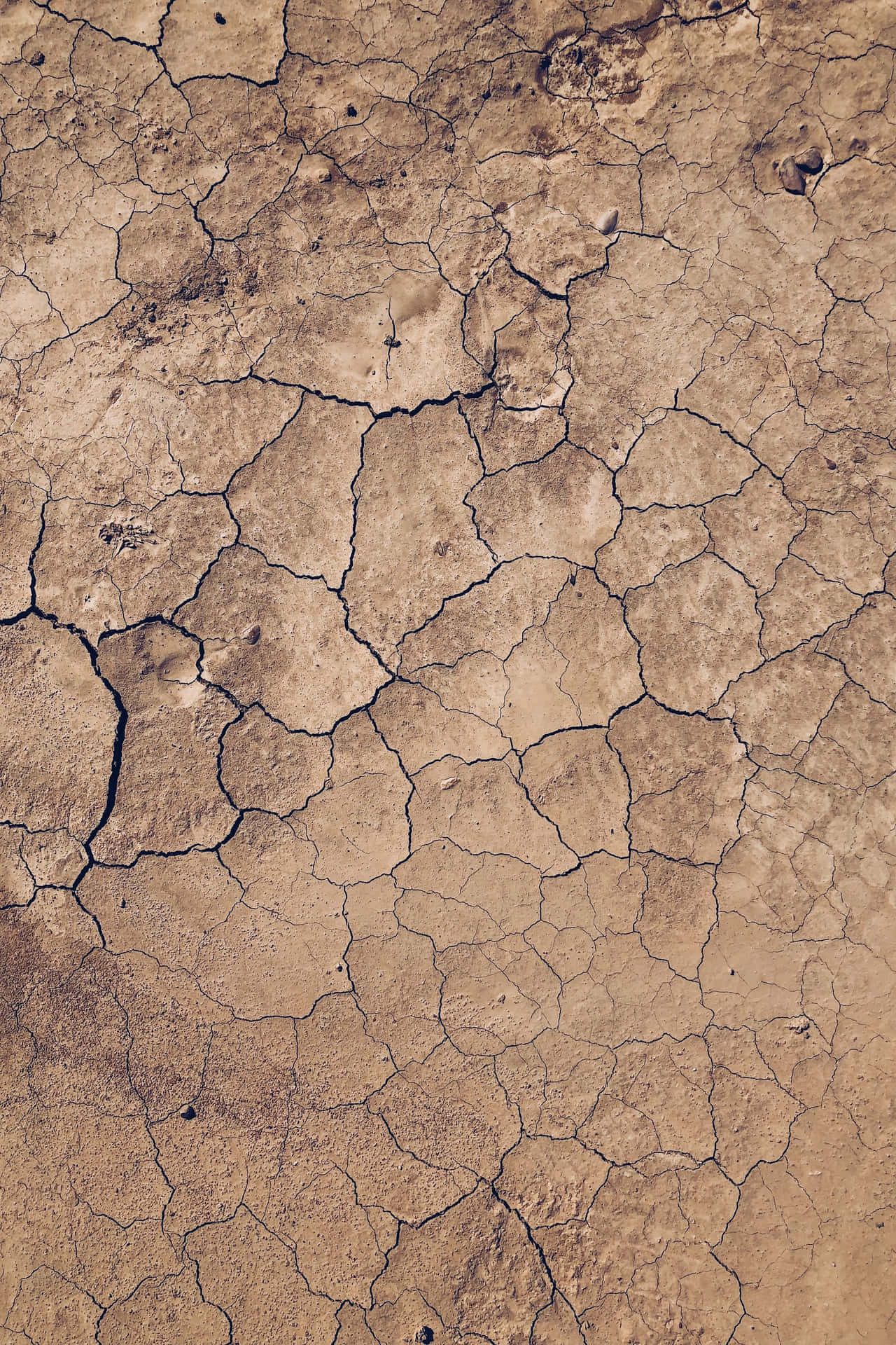 A Cracked Surface Of A Desert