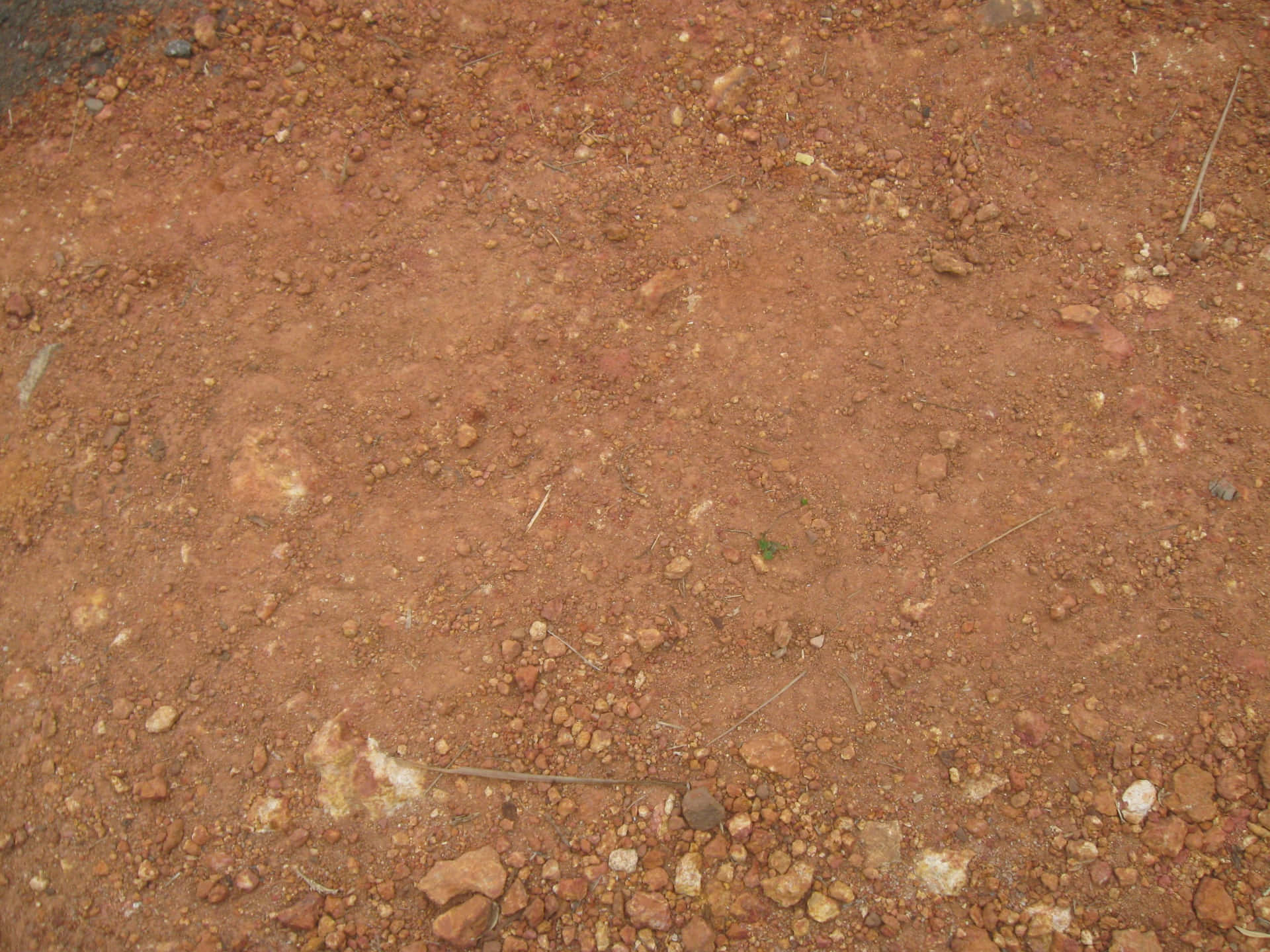 A close up view of brown dirt
