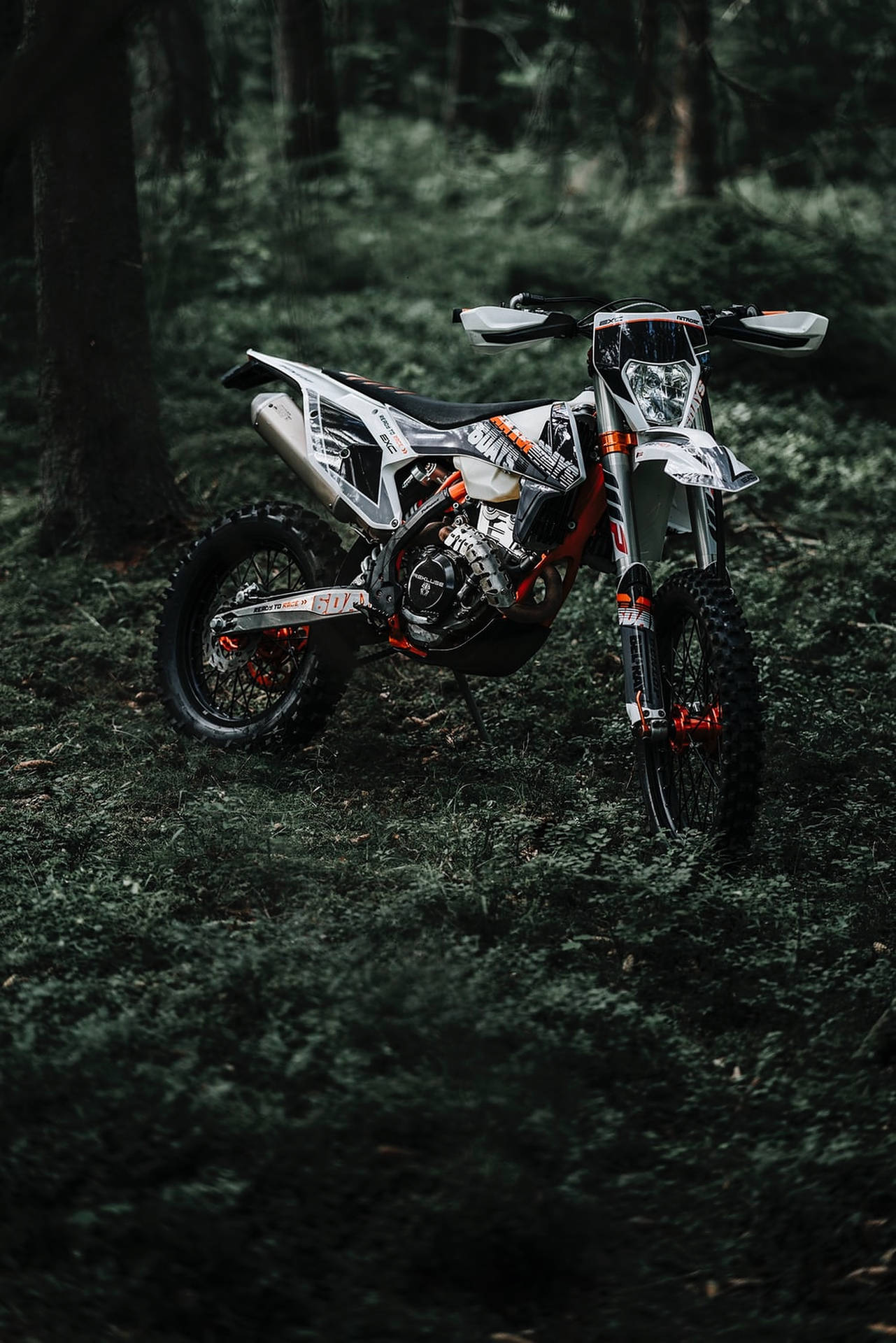 Dirt Bike In The Forest Wallpaper