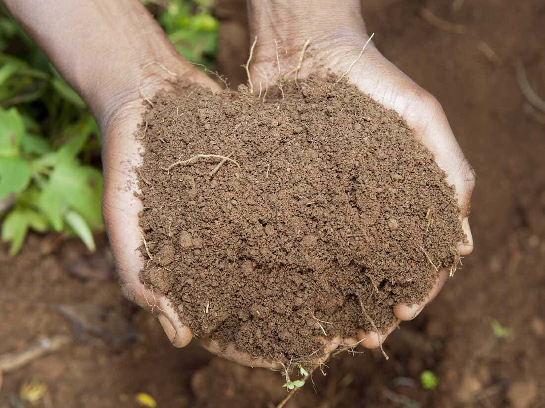A Person Holding A Pile Of Dirt In Their Hands