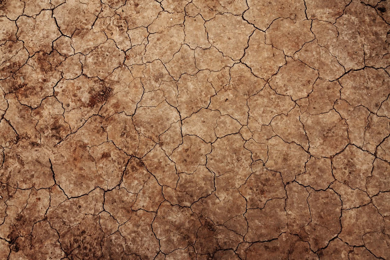 A Cracked Dirt Background With A Brown Color