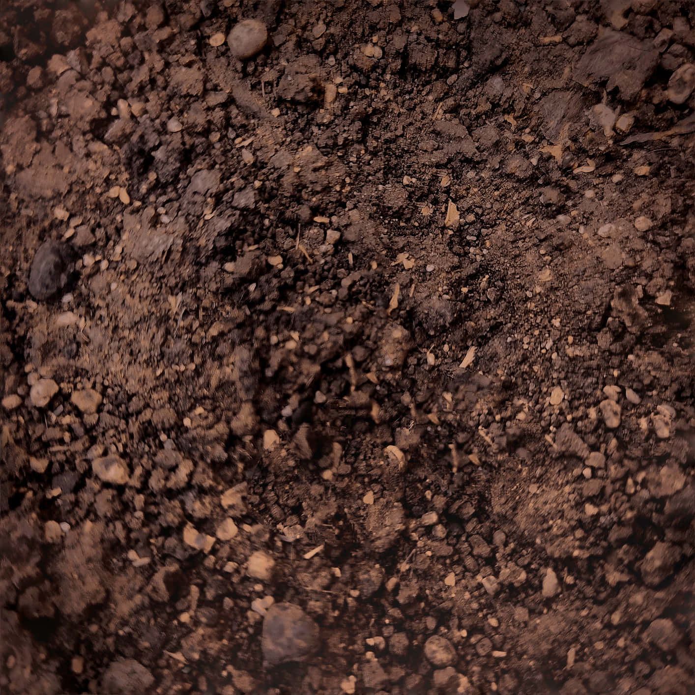 Capture the earthy majesty of nature with this stunning dirt picture