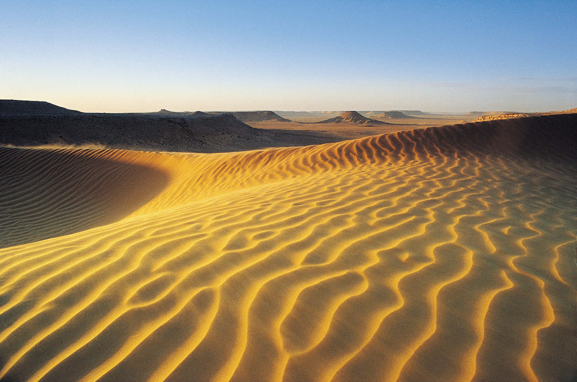 A Sand Dune In The Desert
