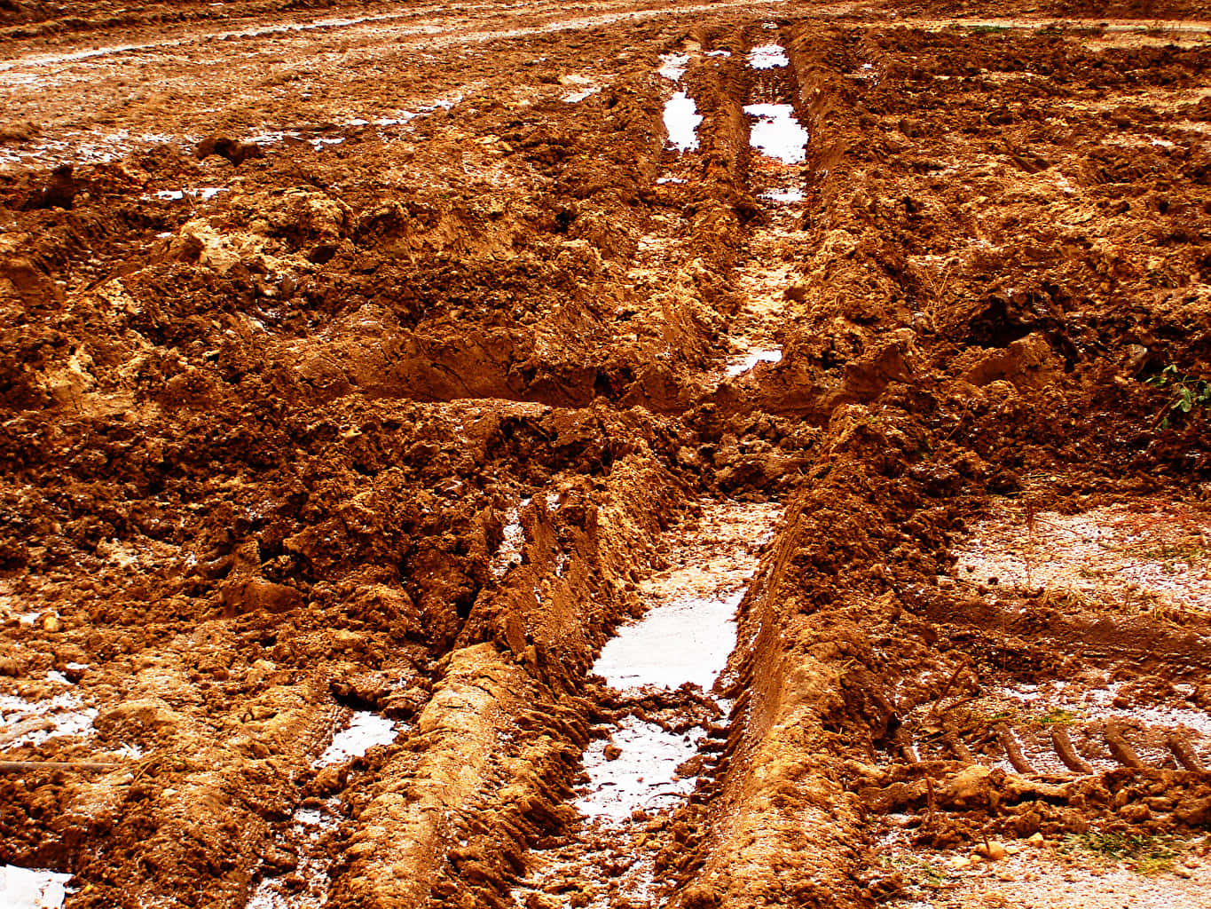 Dirty Clay Mud Road Puddles And Tire Tracks Wallpaper