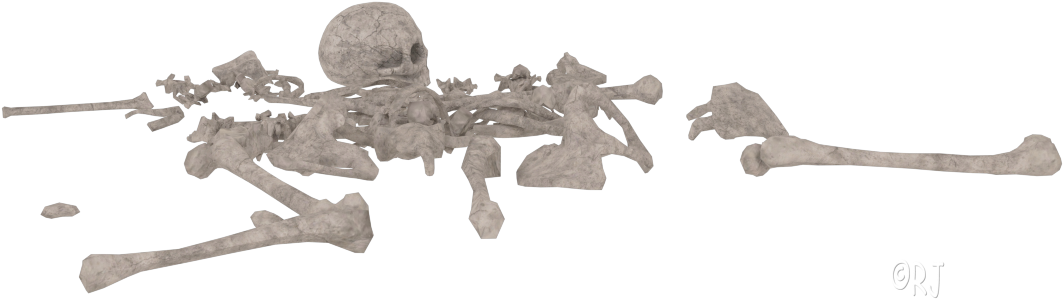 Disassembled Skeleton3 D Model PNG