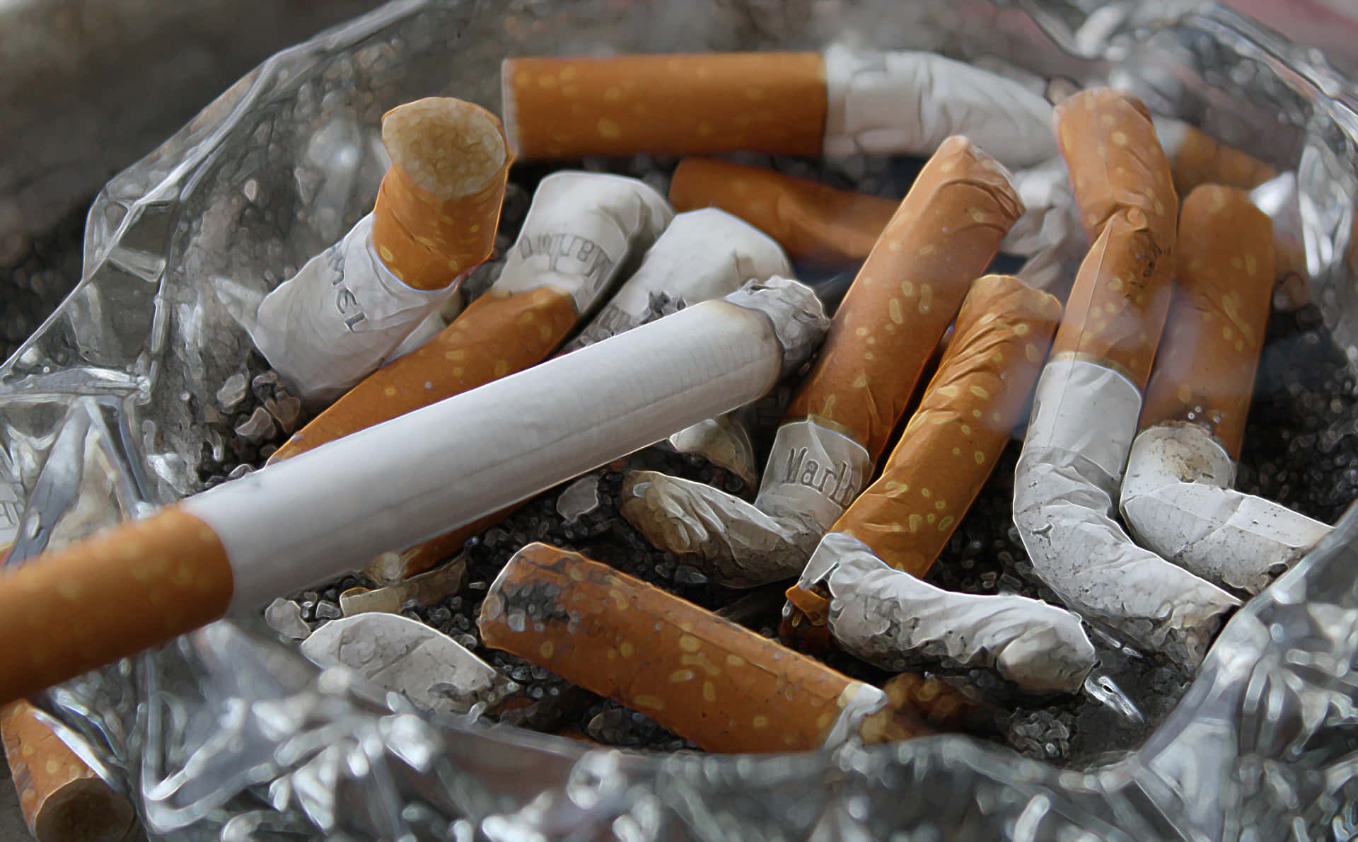 Discarded Cigarette Butts Wallpaper