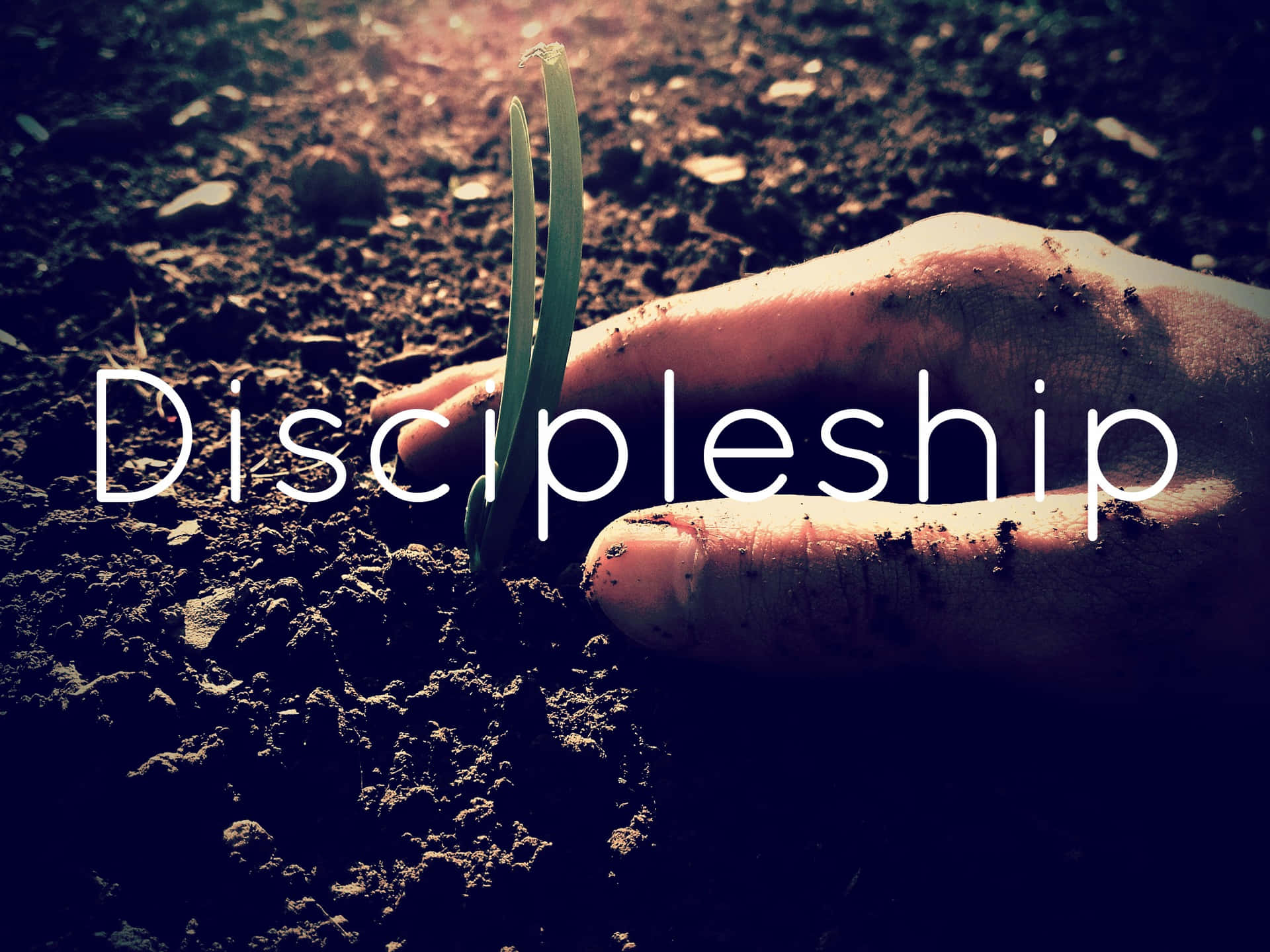 Konsep Pertumbuhan Discipleship Wallpaper