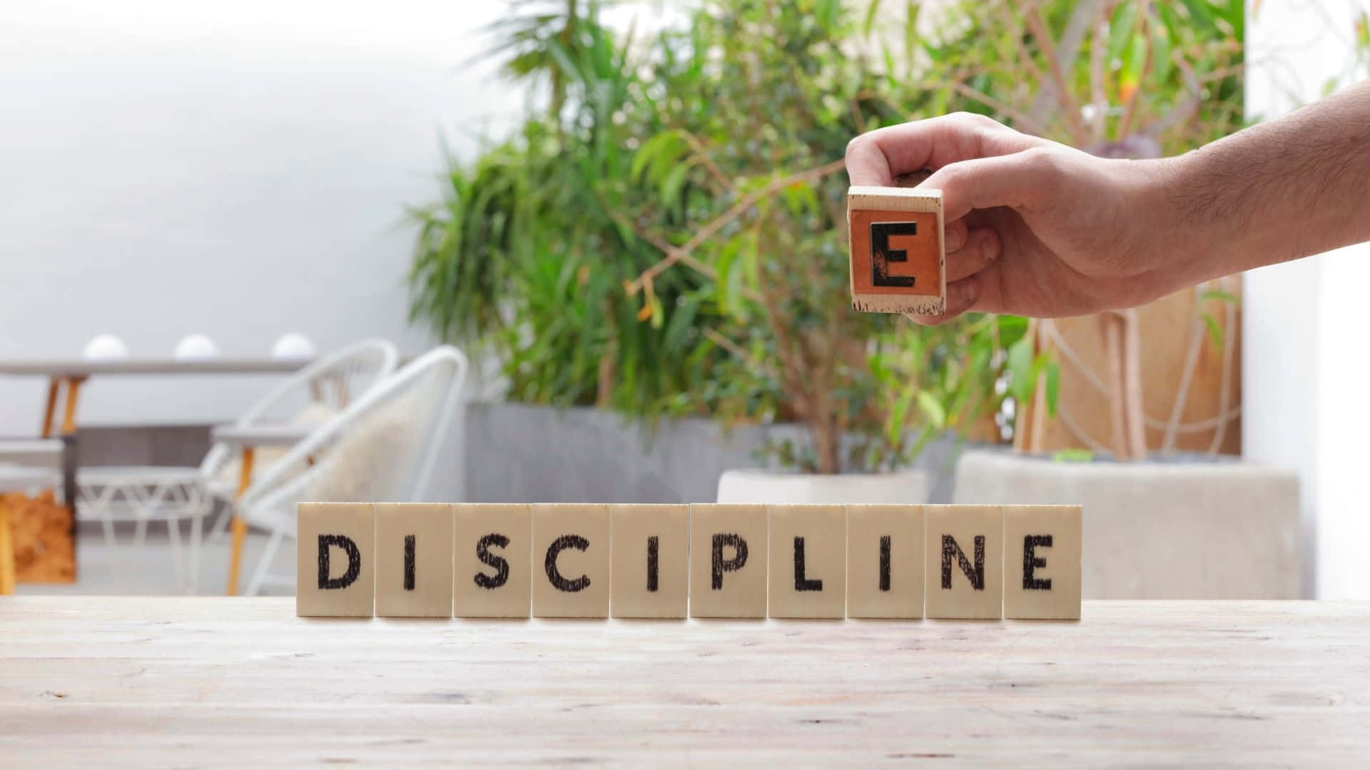 Discipline Word Blocks Concept Wallpaper