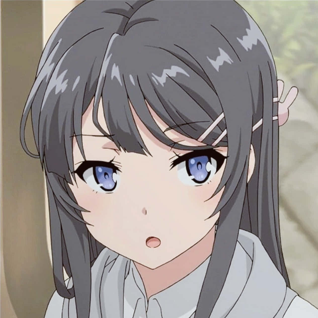 20 Interesting Anime Girls Who Wear Hair Clips Recommended